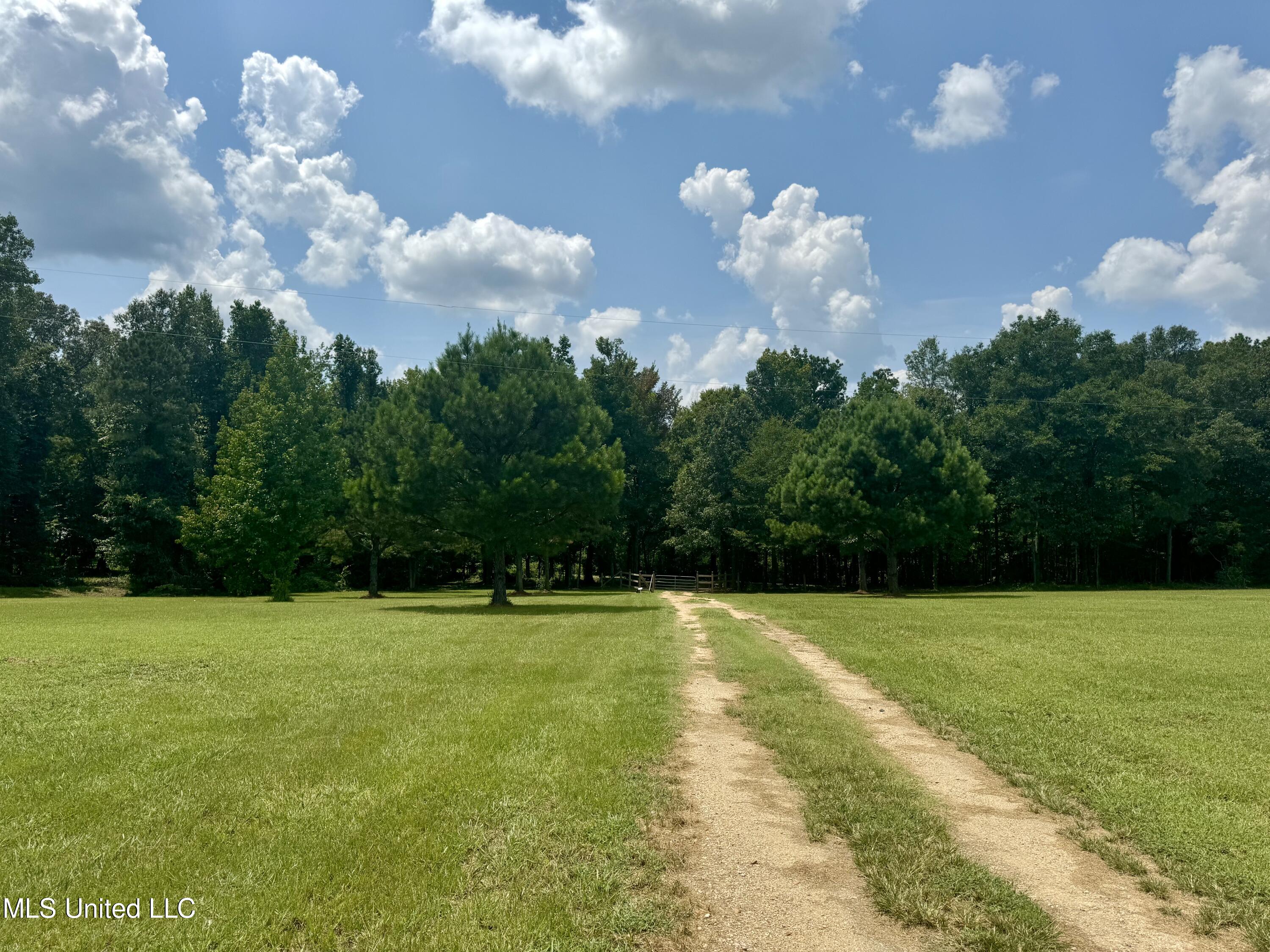 1625 Barnes Road, Canton, Mississippi image 11