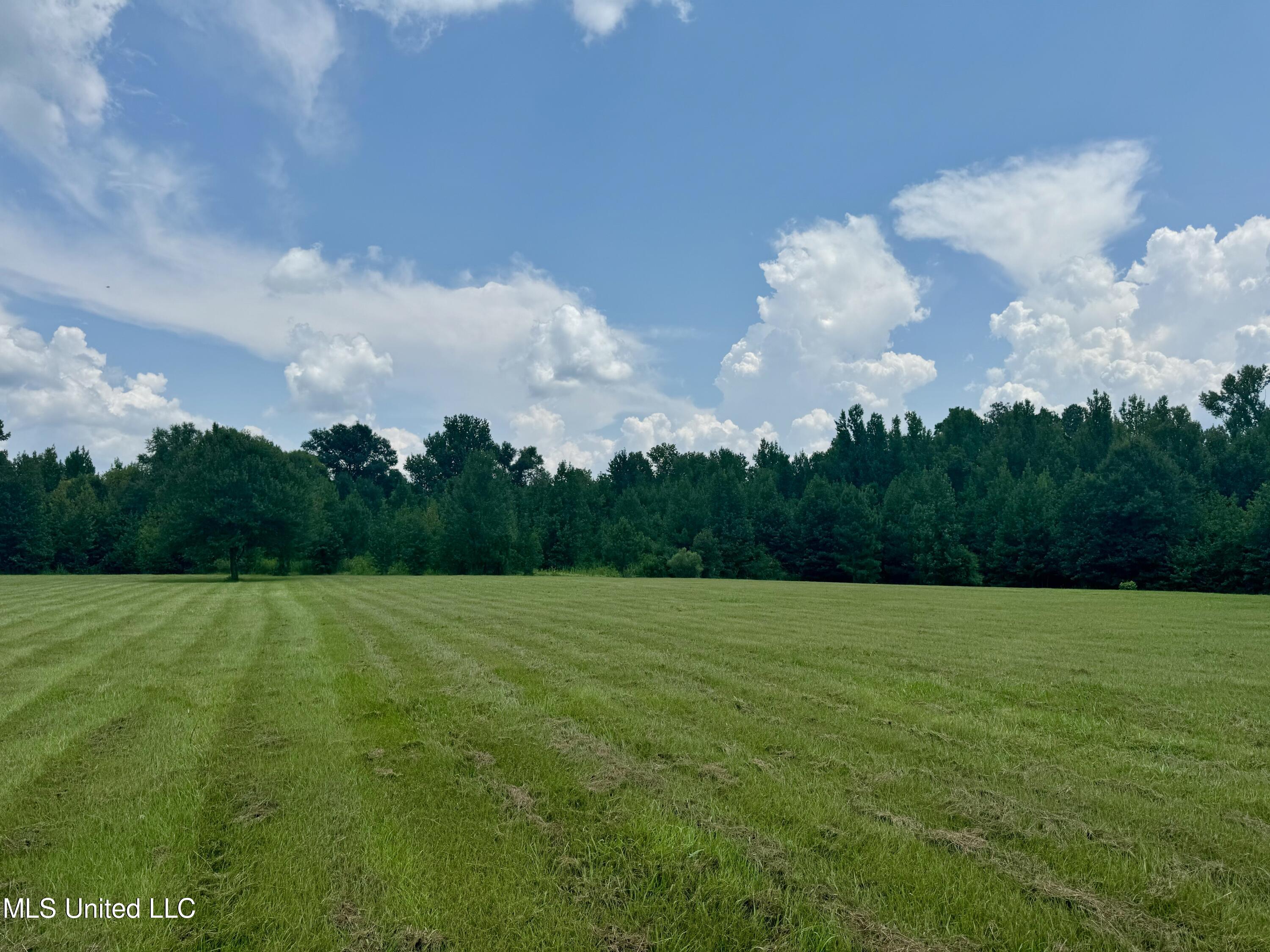 1625 Barnes Road, Canton, Mississippi image 15