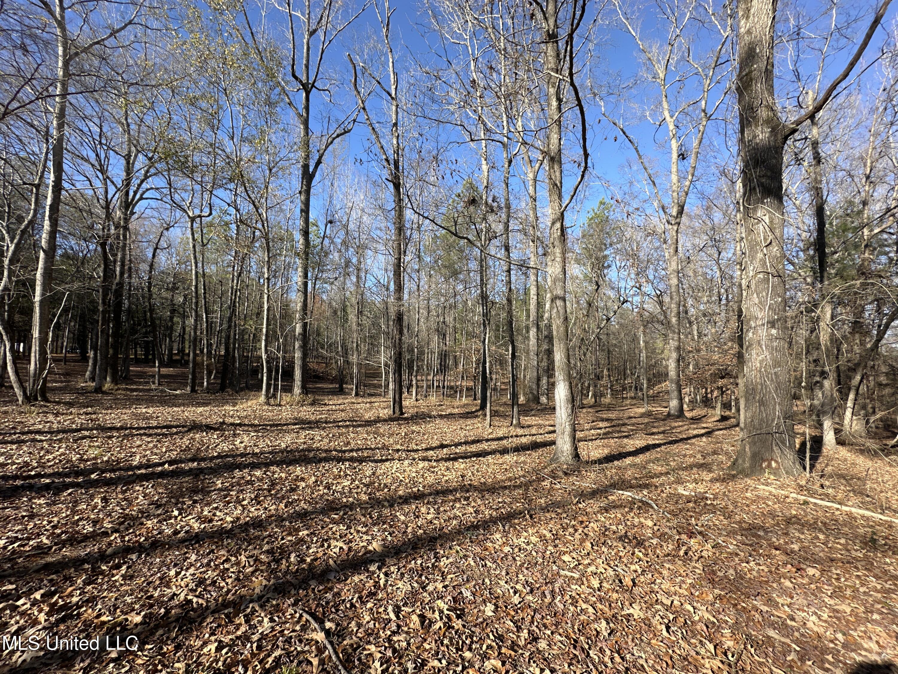 Shadow Creek Drive, Florence, Mississippi image 17