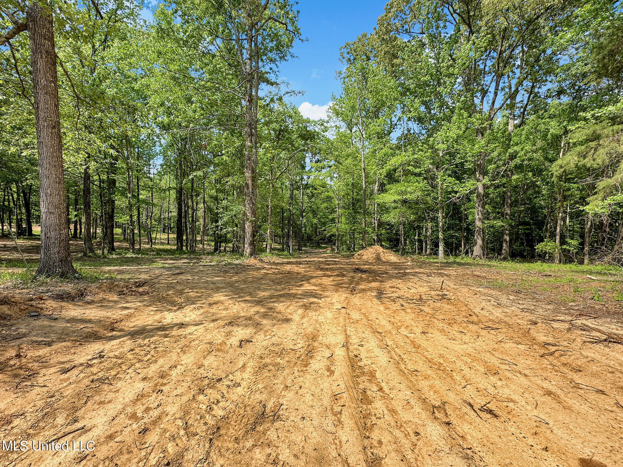 Shadow Creek Drive, Florence, Mississippi image 2