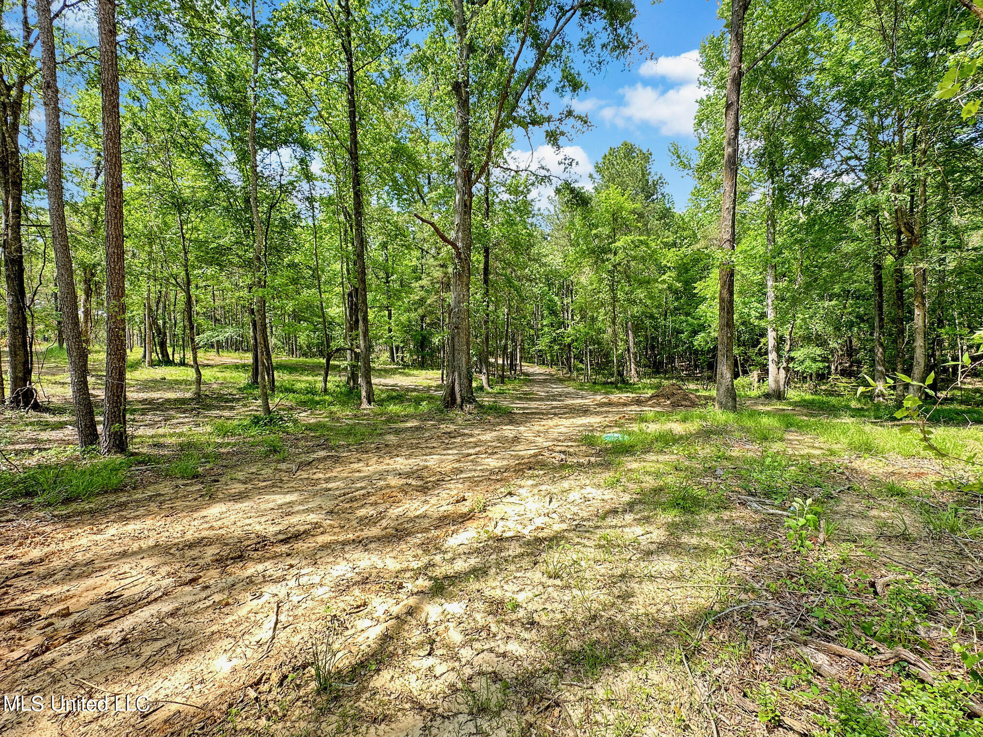 Shadow Creek Drive, Florence, Mississippi image 10