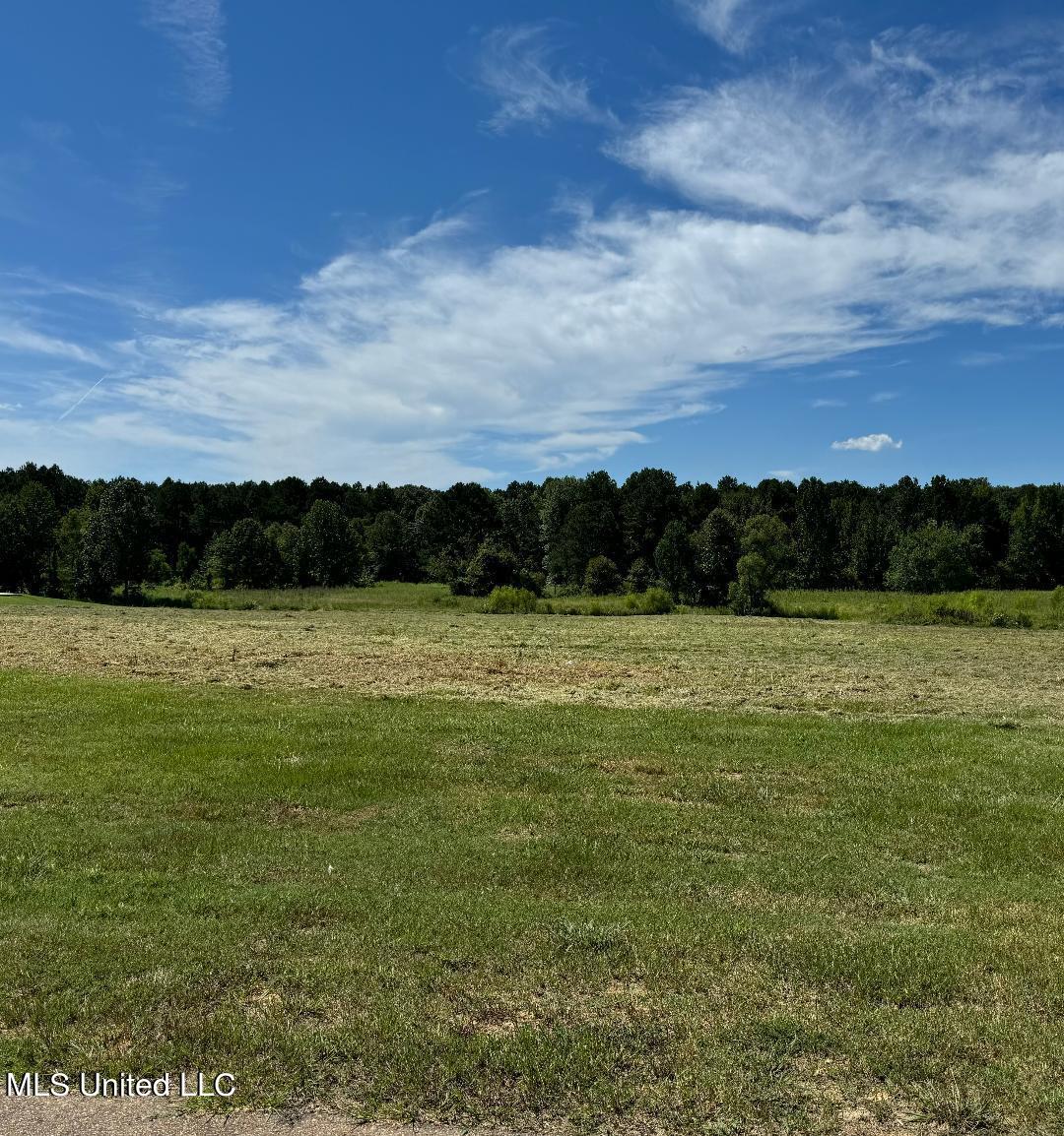 Clark Stables Road, Brandon, Mississippi image 1