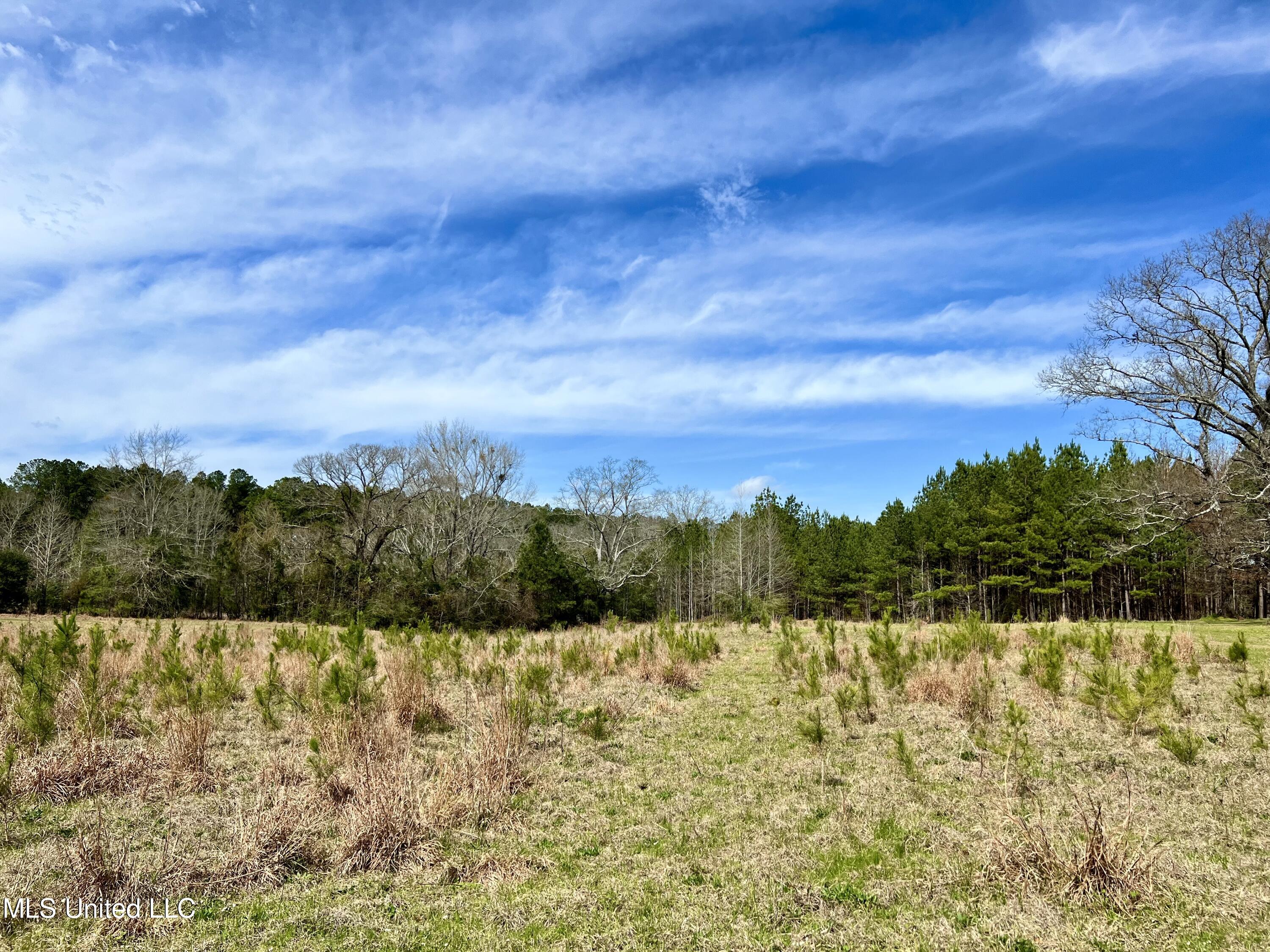 Hwy 24, Liberty, Mississippi image 2