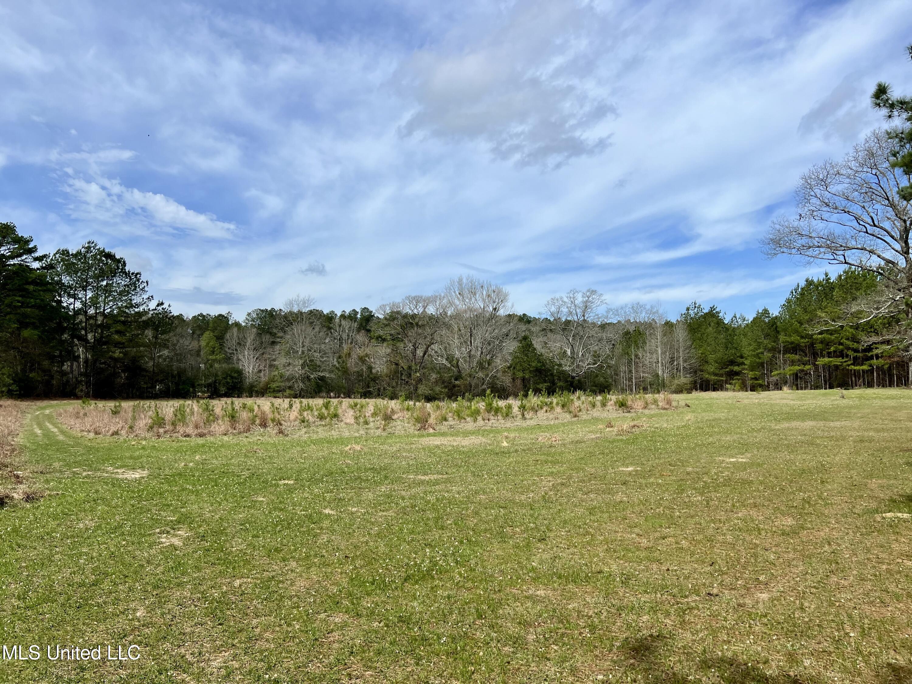 Hwy 24, Liberty, Mississippi image 1