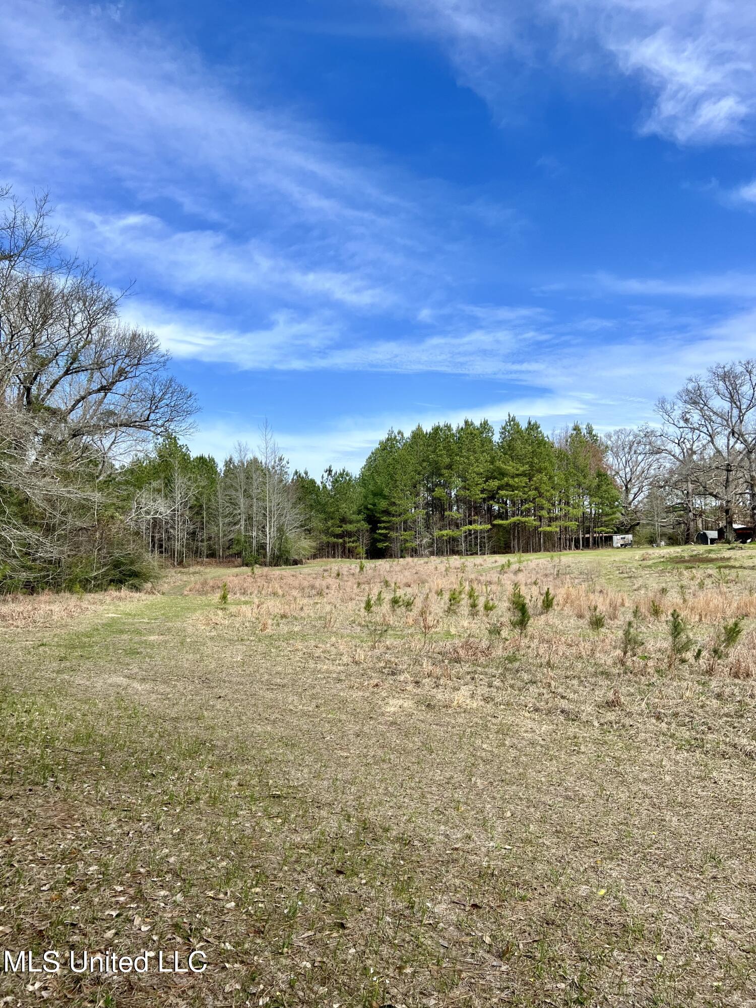 Hwy 24, Liberty, Mississippi image 4