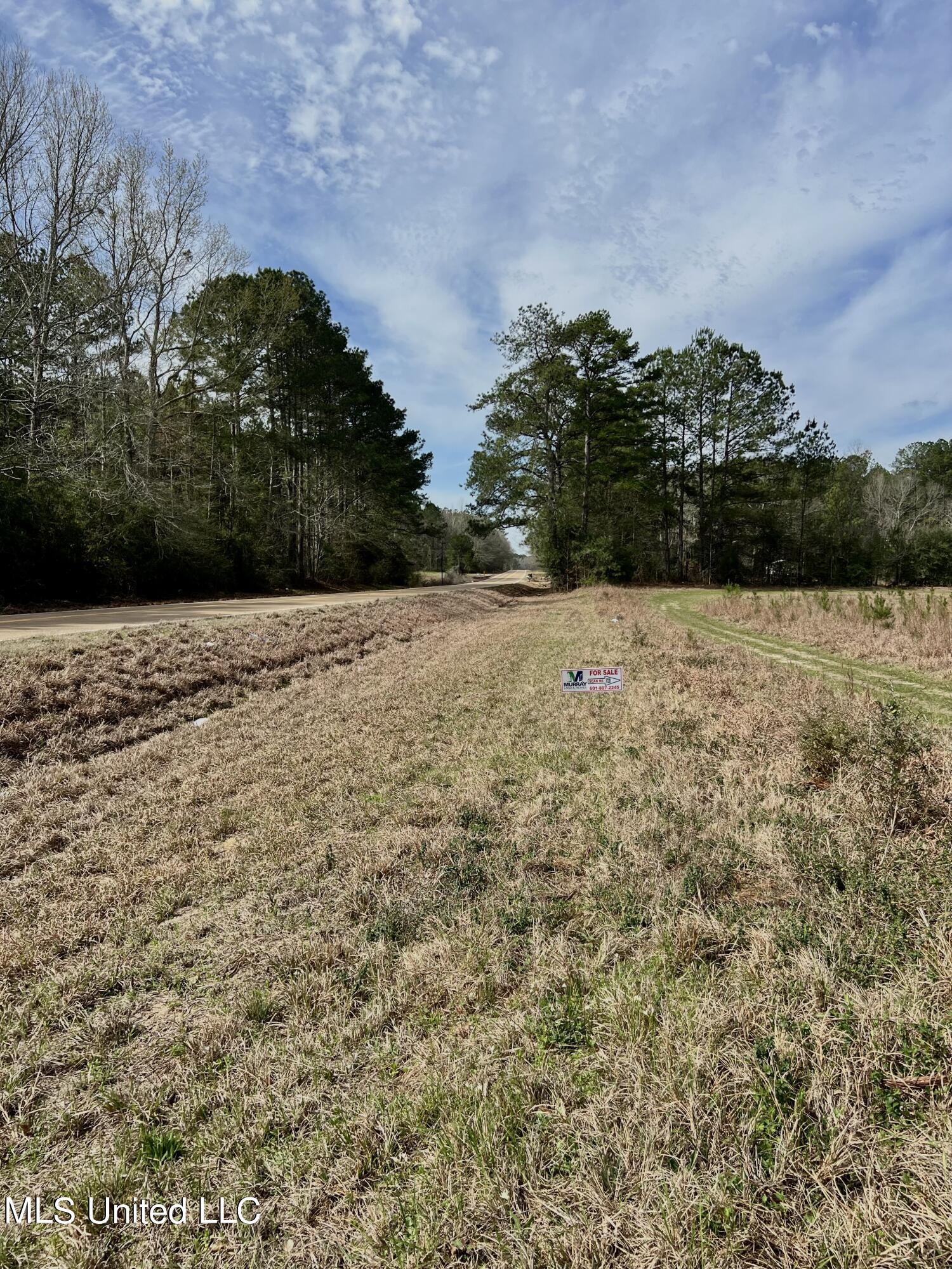 Hwy 24, Liberty, Mississippi image 3