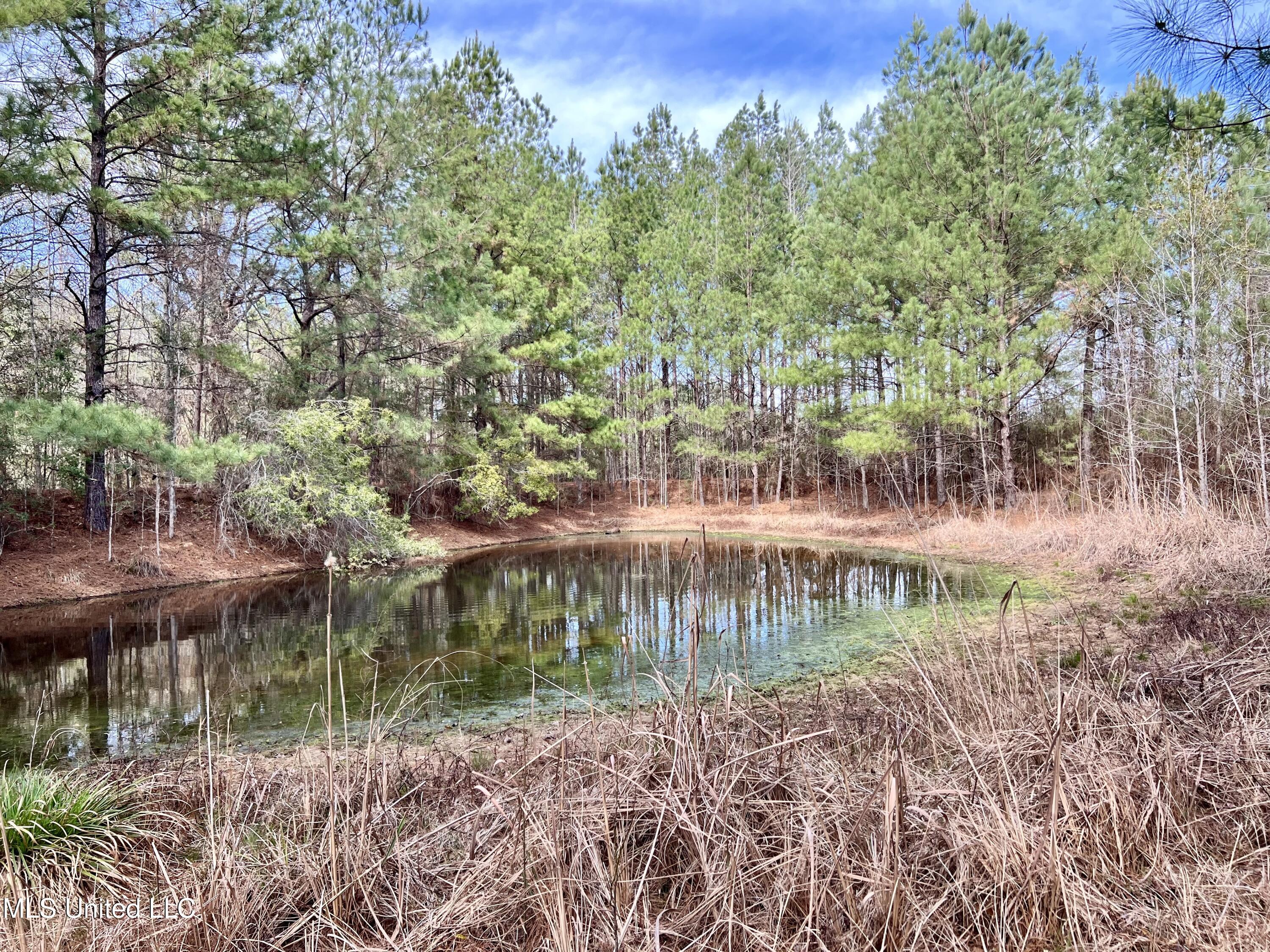 Hwy 24, Liberty, Mississippi image 9