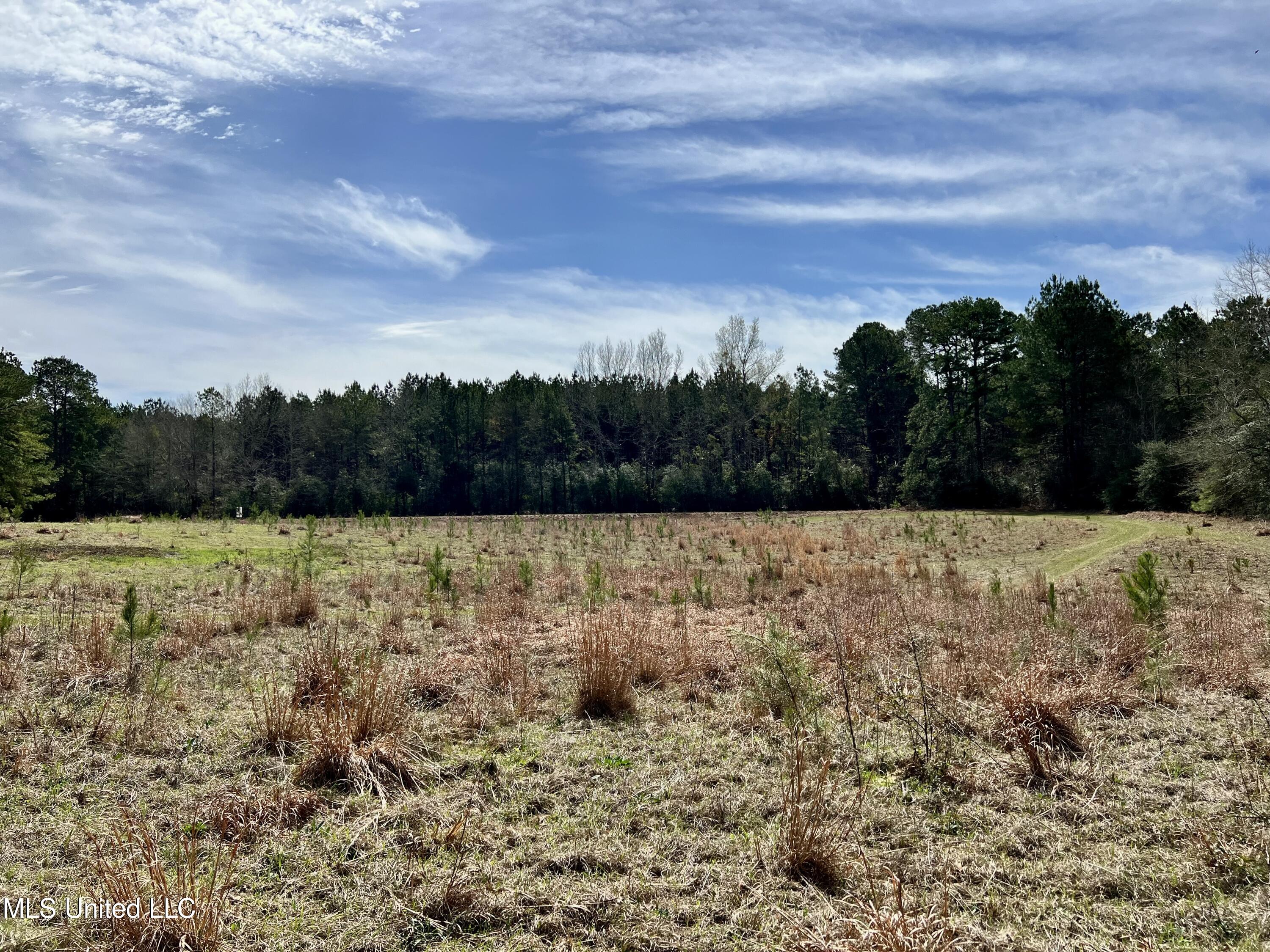 Hwy 24, Liberty, Mississippi image 6