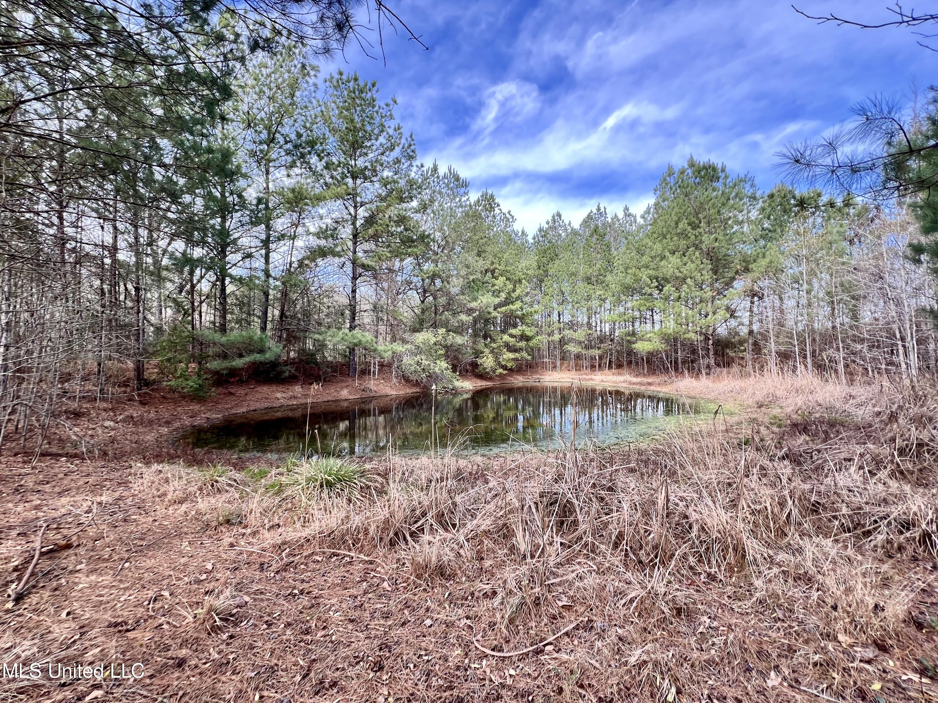 Hwy 24, Liberty, Mississippi image 8