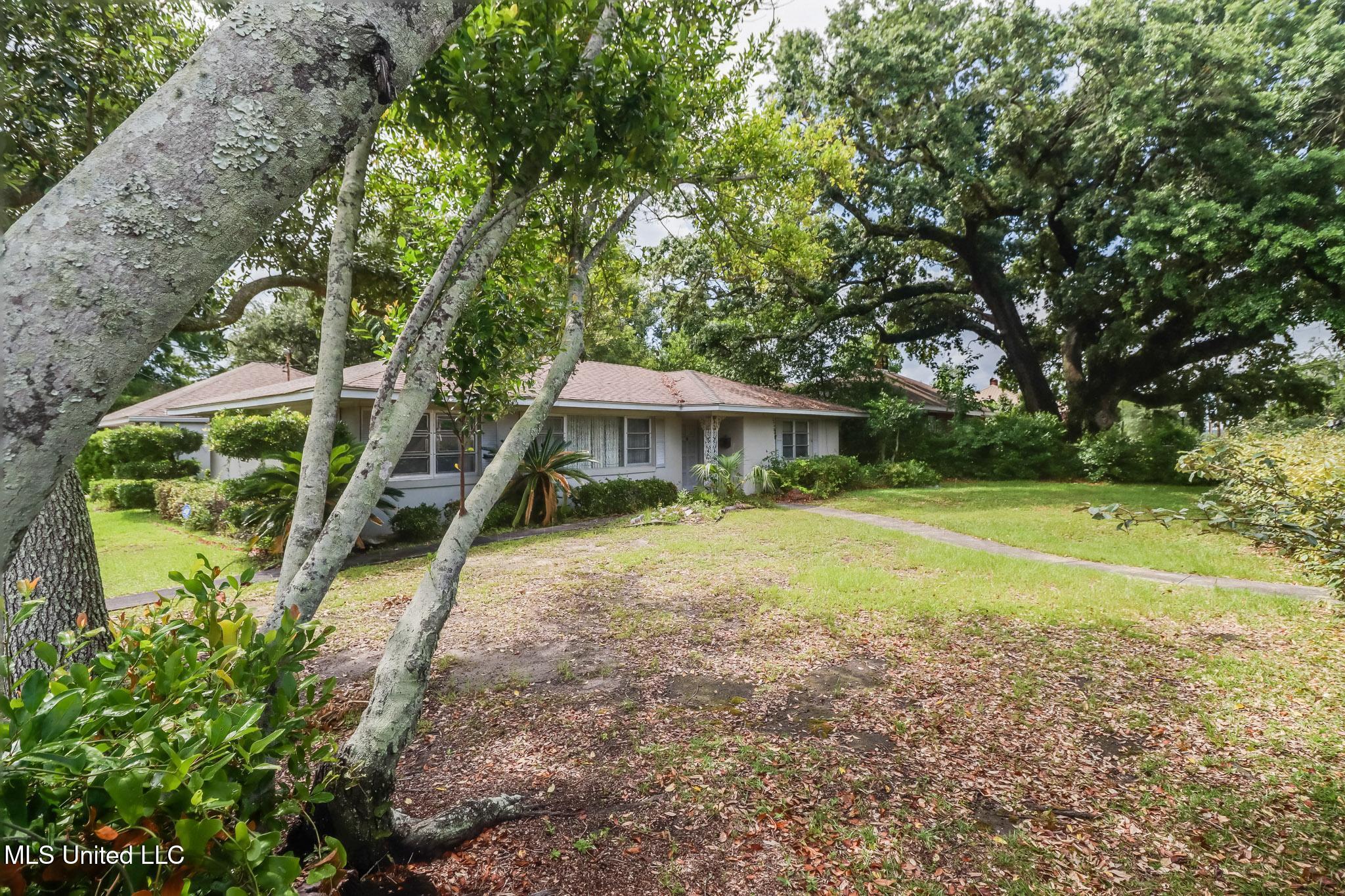435 Forrest Avenue, Biloxi, Mississippi image 5