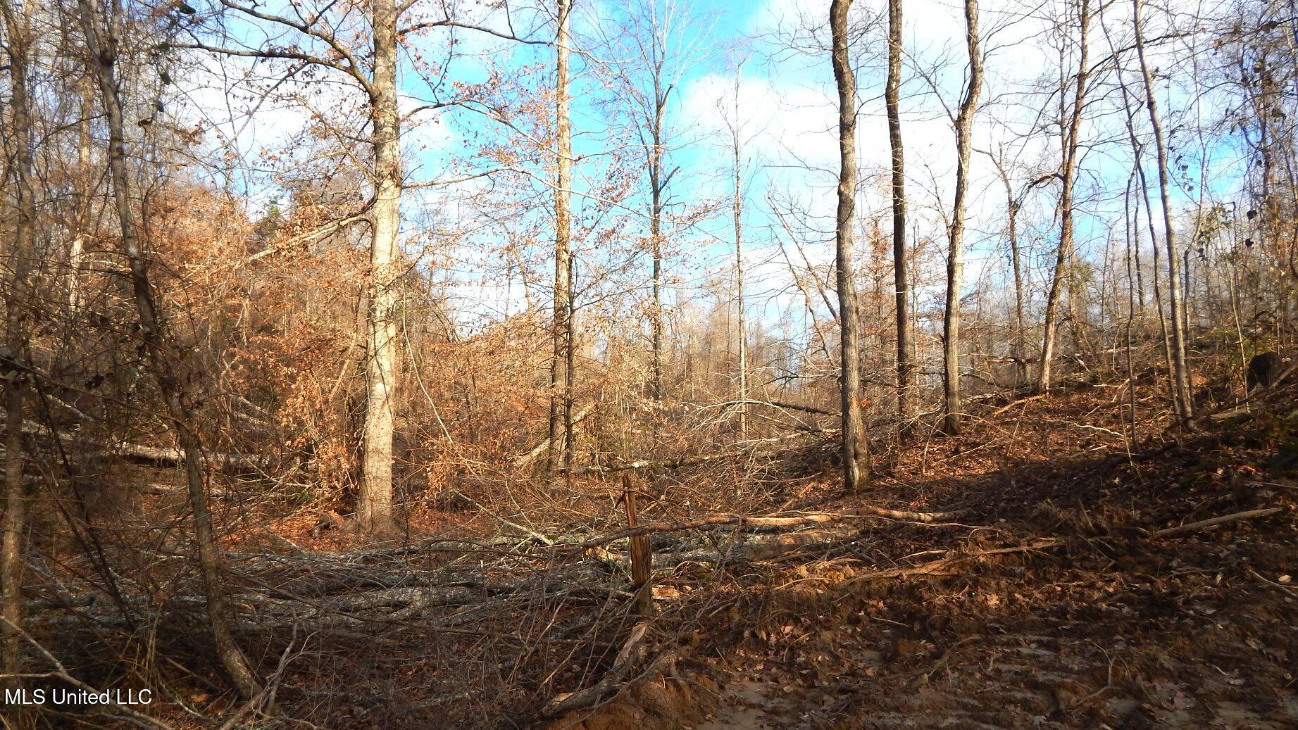 35 Ac. Bethel Church Road, Grenada, Mississippi image 9