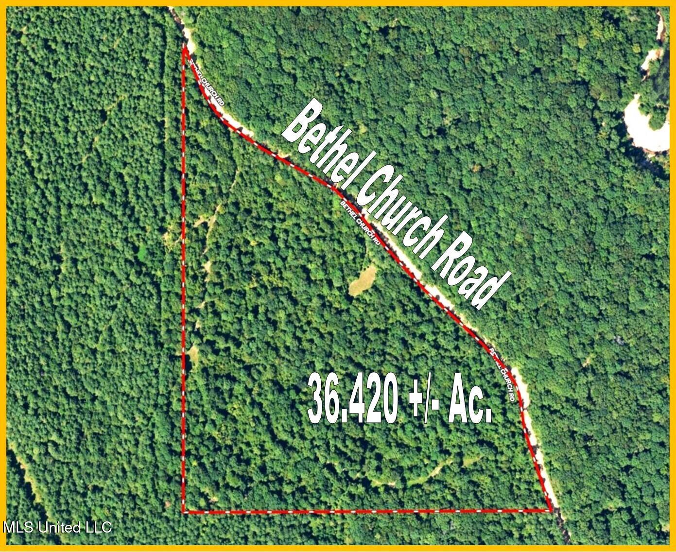 35 Ac. Bethel Church Road, Grenada, Mississippi image 2