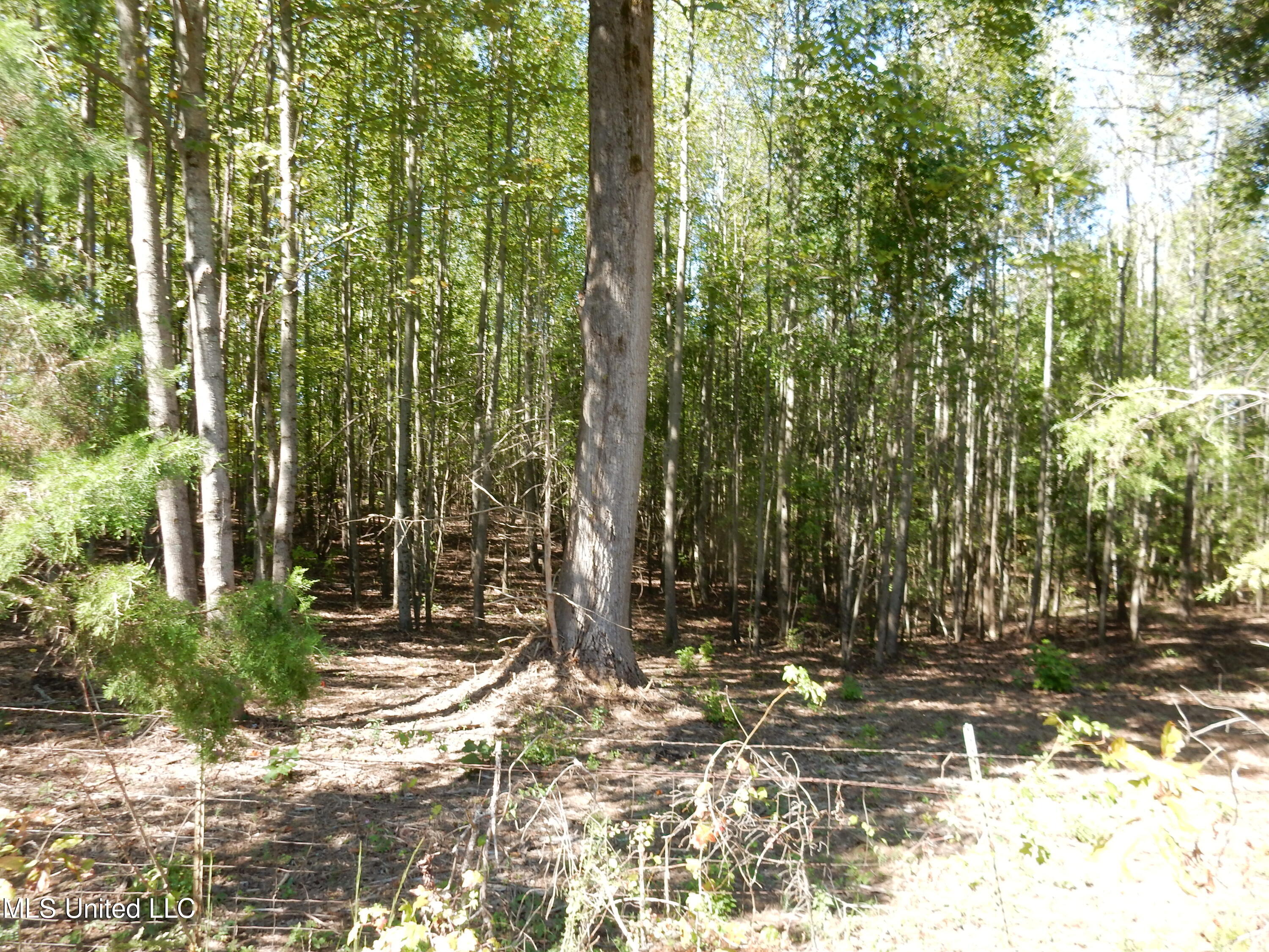 Lot 1 Cypress Corner Road, Senatobia, Mississippi image 1