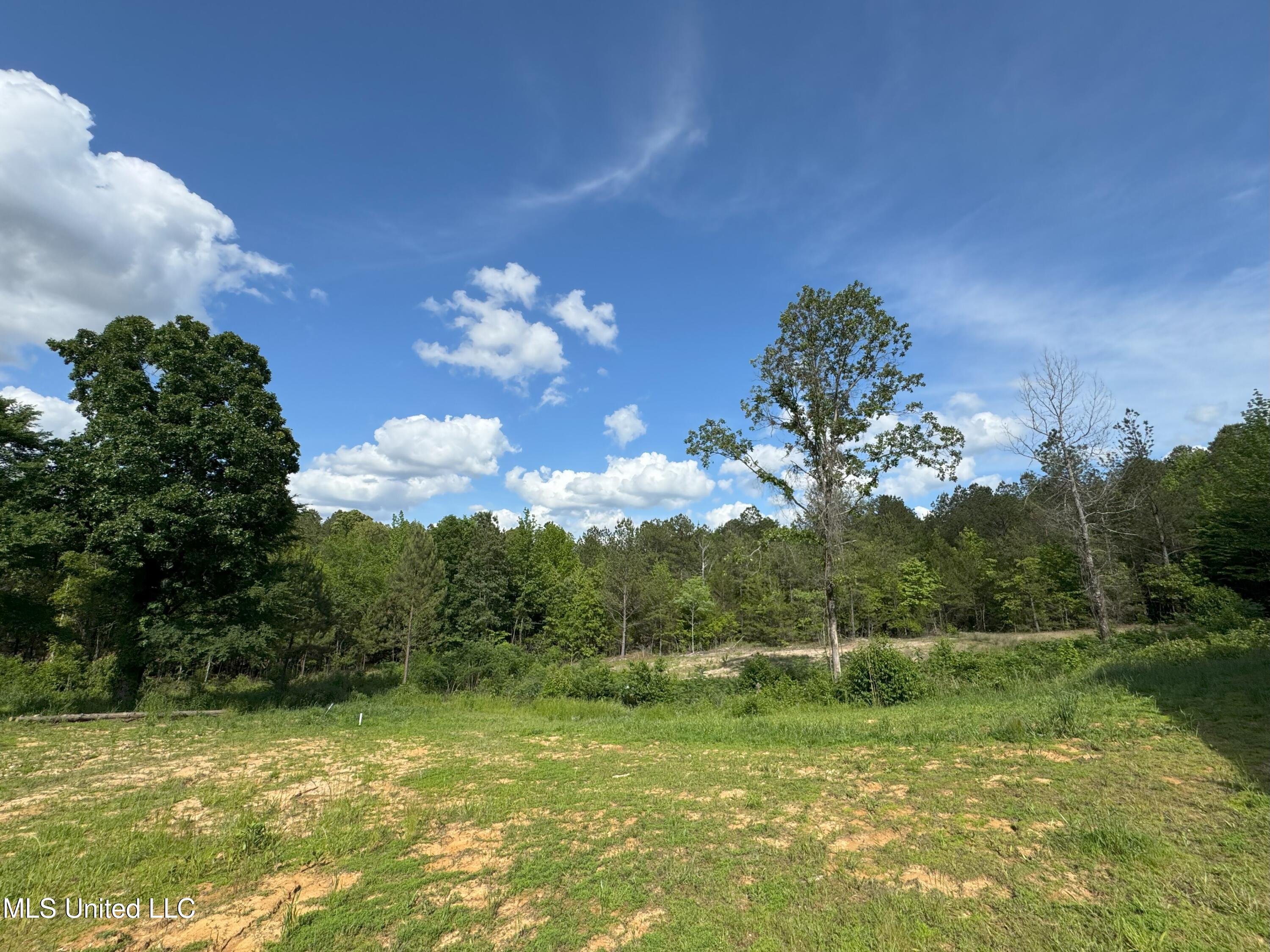 485 Sweet Home Road, Duck Hill, Mississippi image 22