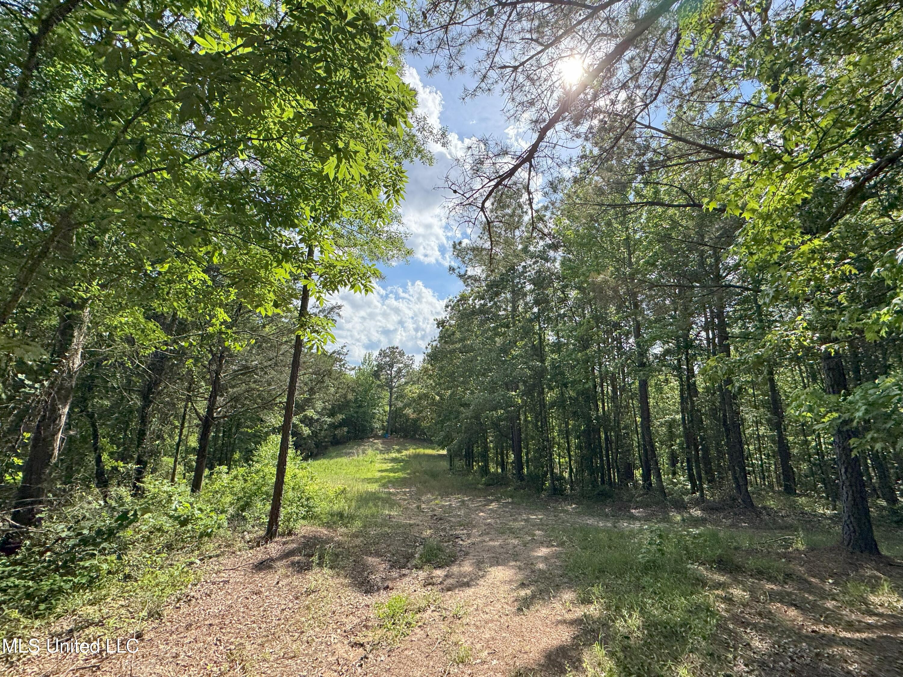 485 Sweet Home Road, Duck Hill, Mississippi image 15