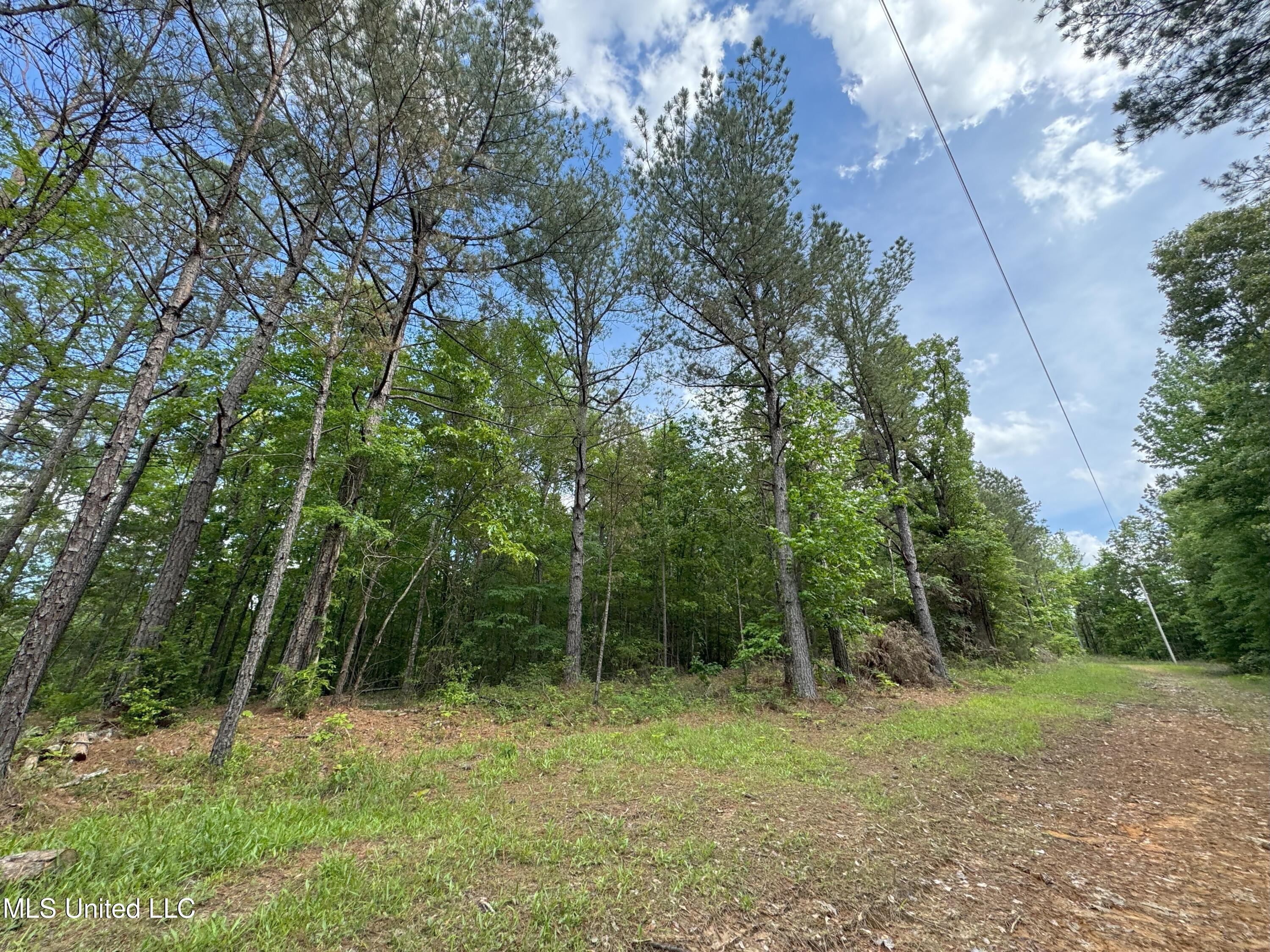 485 Sweet Home Road, Duck Hill, Mississippi image 8