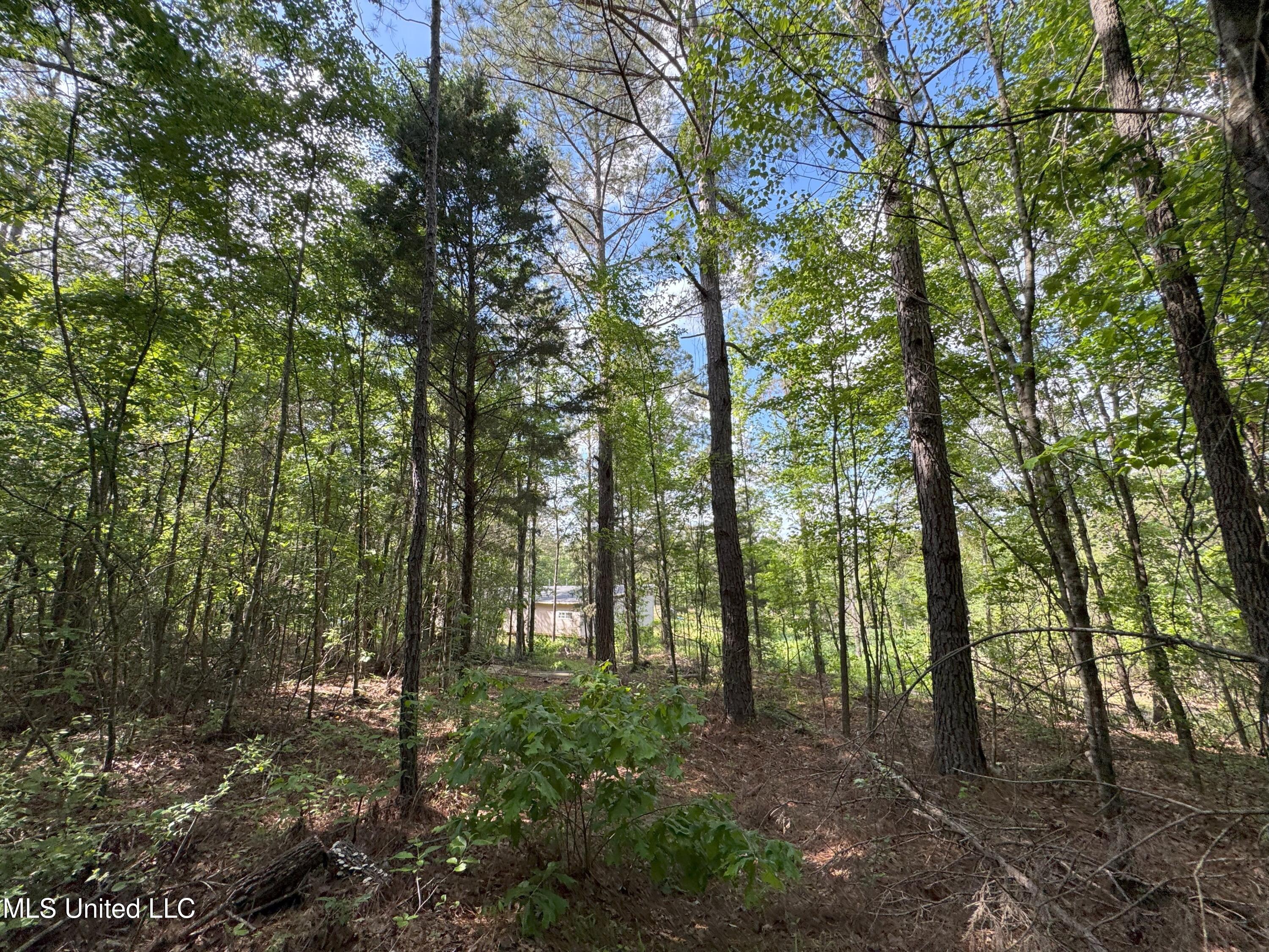 485 Sweet Home Road, Duck Hill, Mississippi image 13