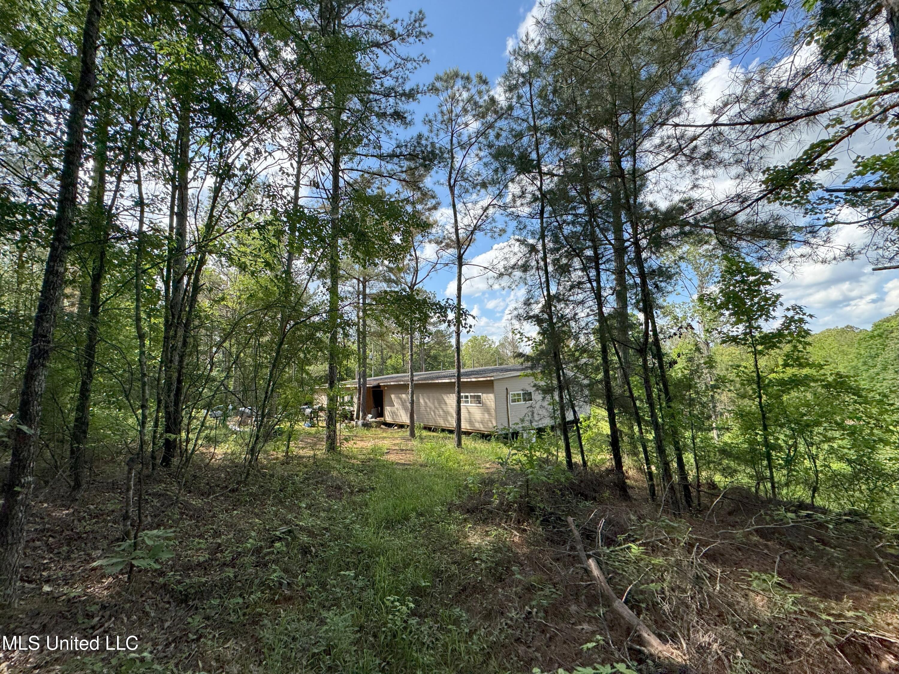 485 Sweet Home Road, Duck Hill, Mississippi image 2