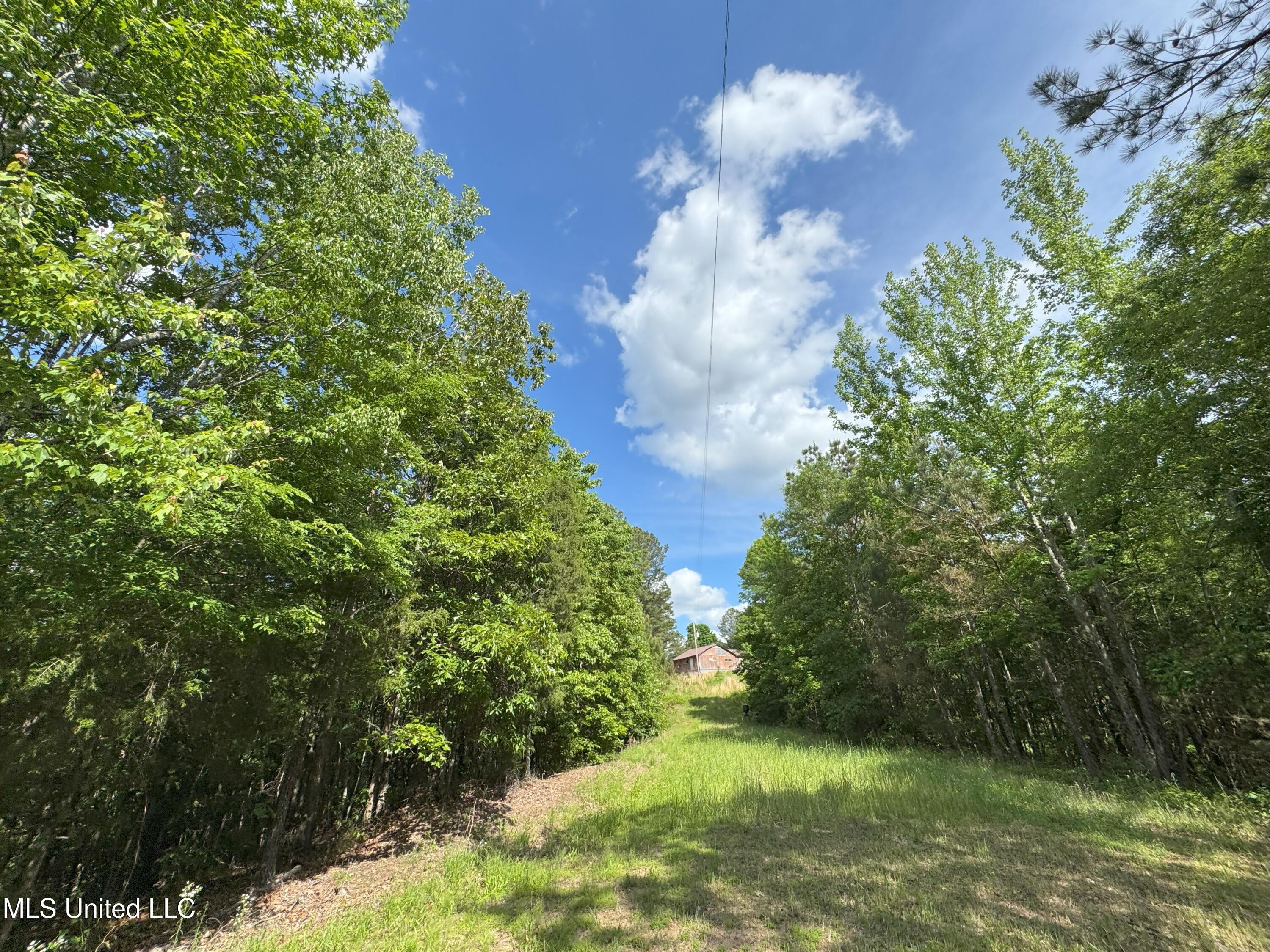 485 Sweet Home Road, Duck Hill, Mississippi image 12