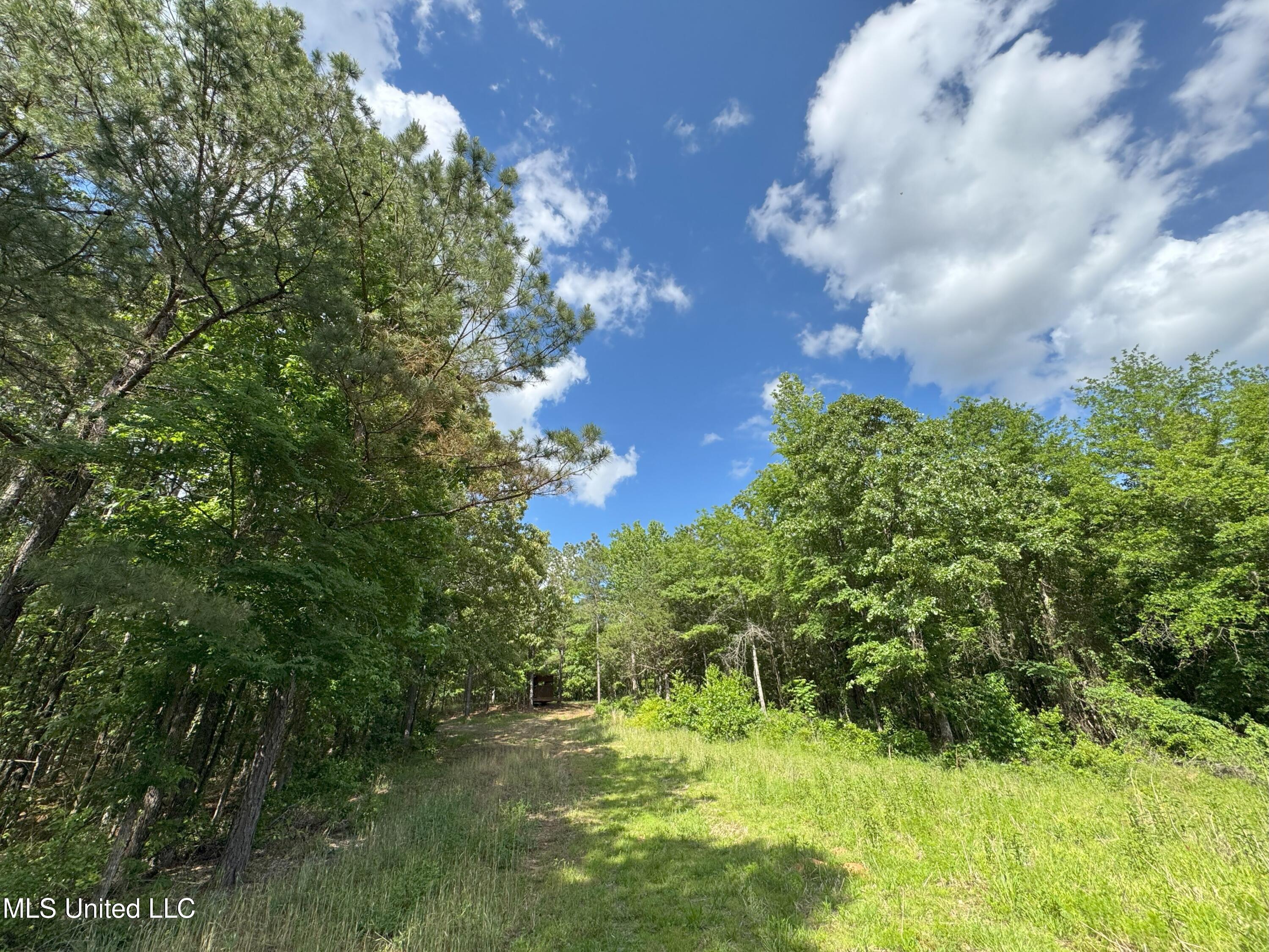 485 Sweet Home Road, Duck Hill, Mississippi image 19