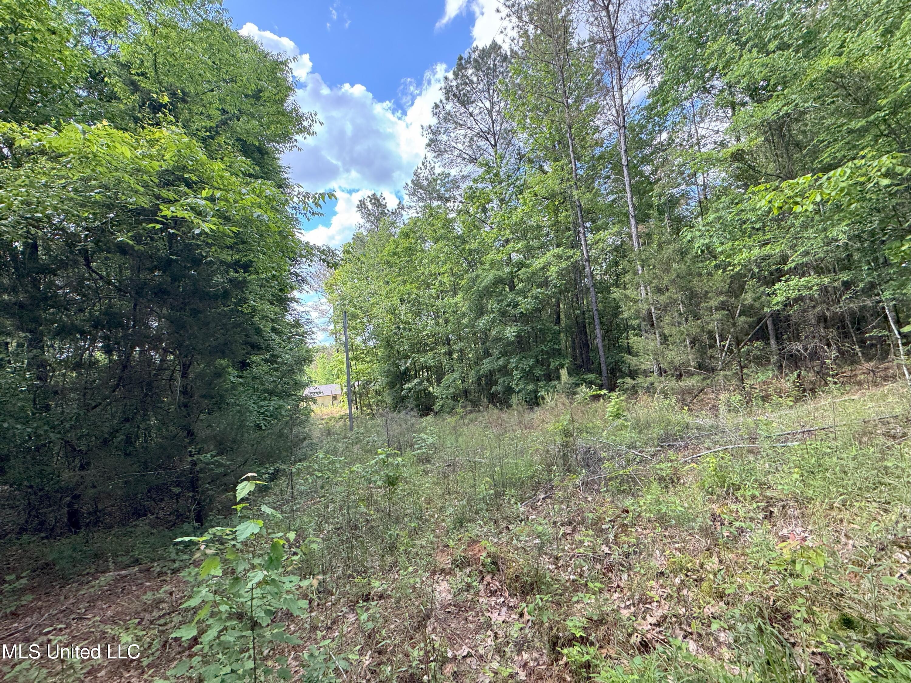 485 Sweet Home Road, Duck Hill, Mississippi image 4