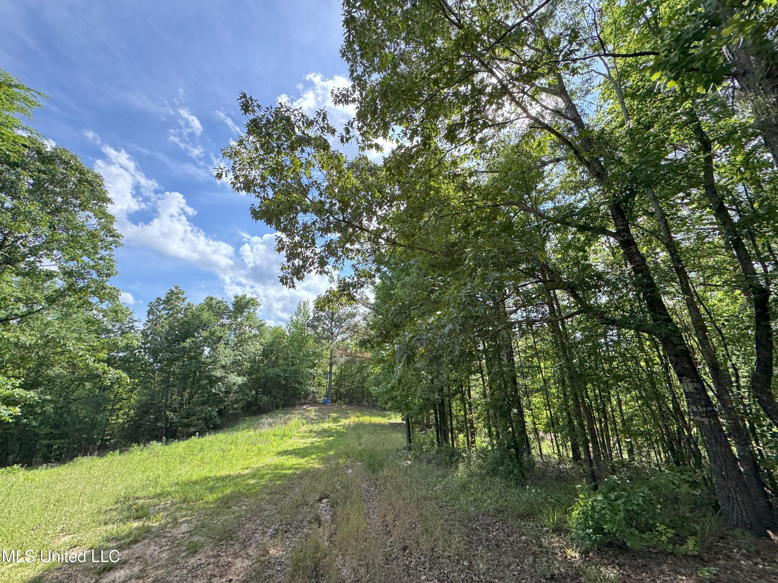 485 Sweet Home Road, Duck Hill, Mississippi image 5