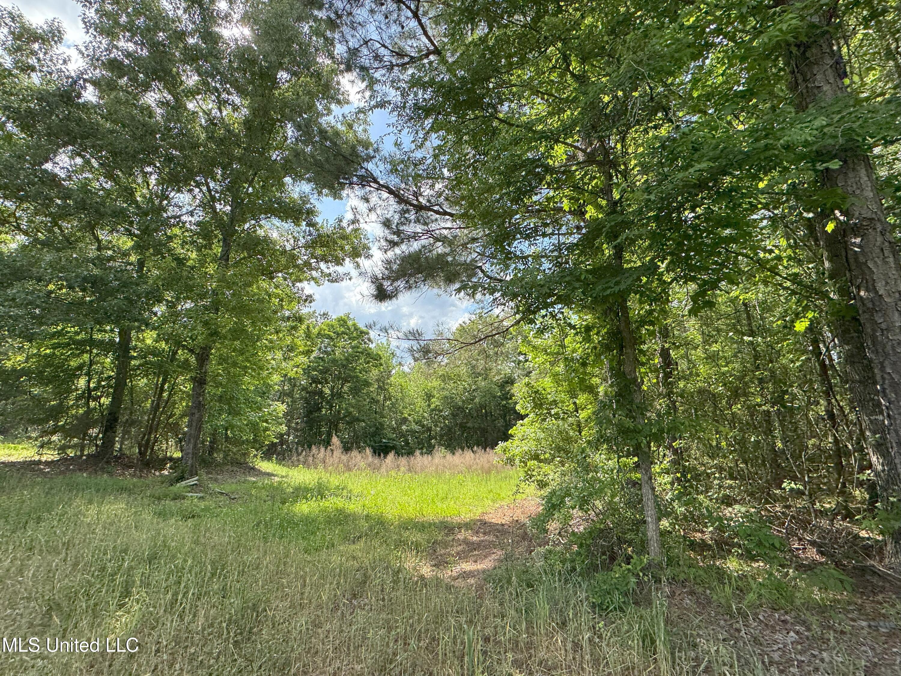 485 Sweet Home Road, Duck Hill, Mississippi image 10