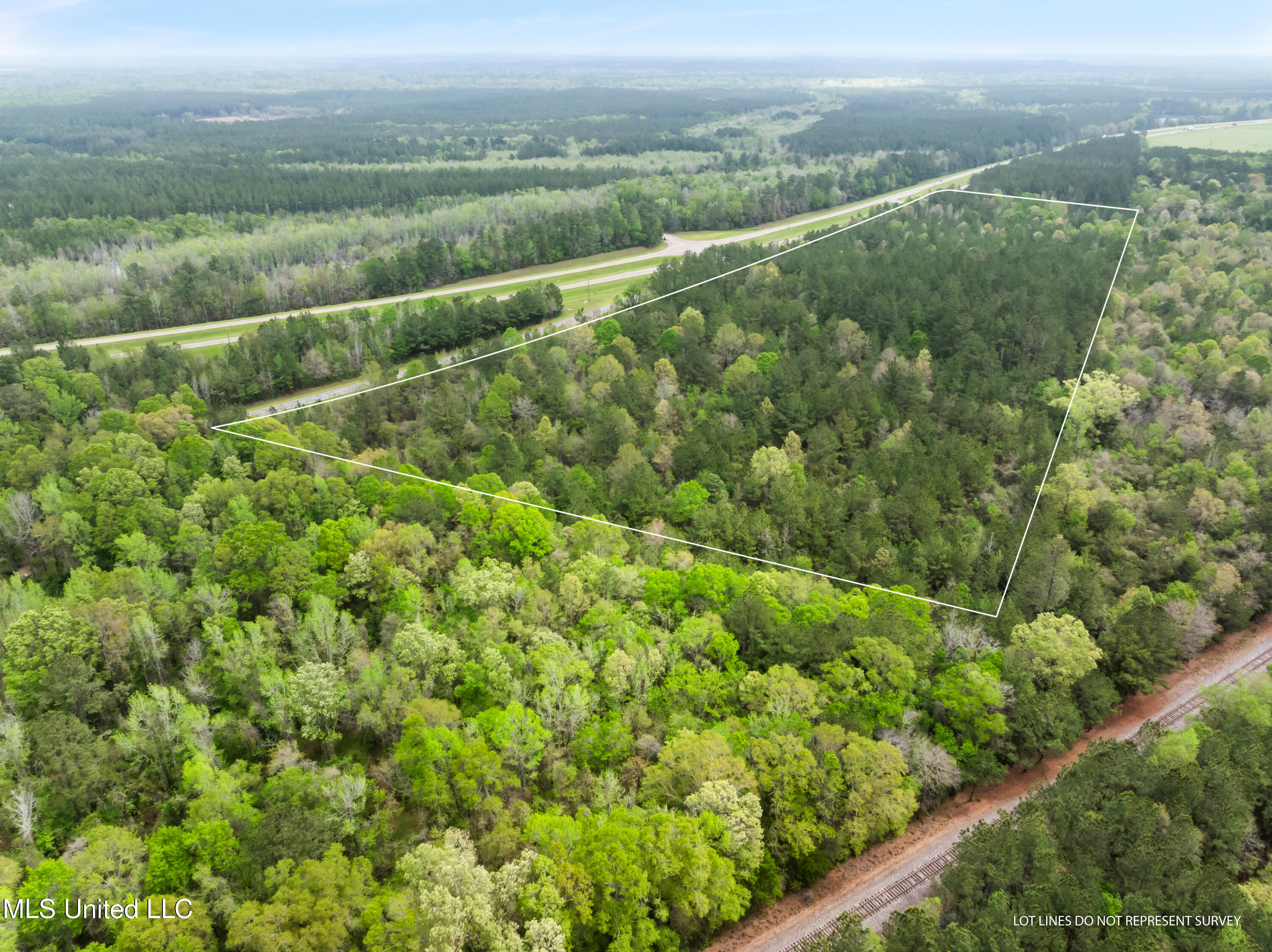 29.5 +/-Ac U. S. 98, Beaumont, Mississippi image 3