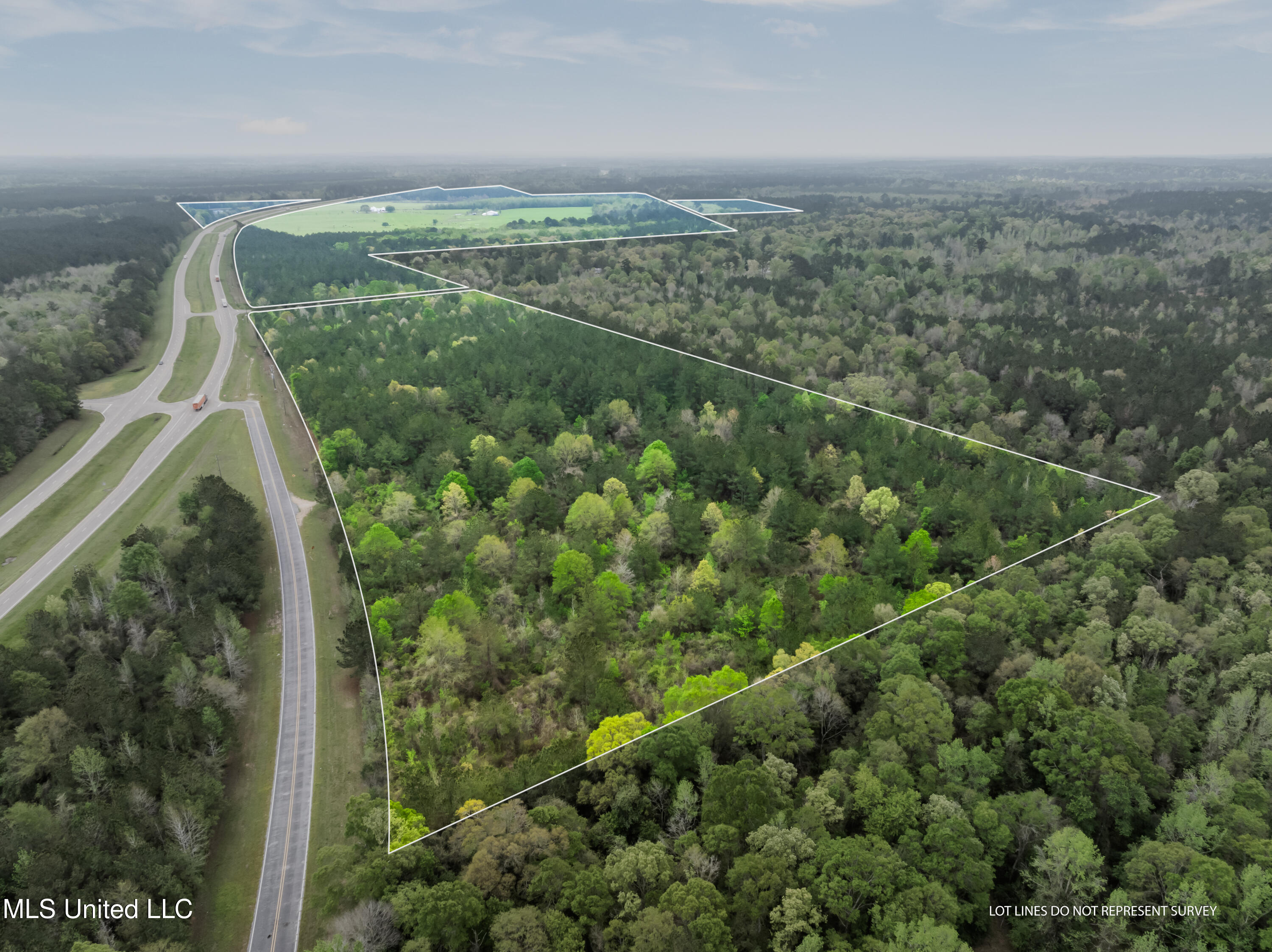 29.5 +/-Ac U. S. 98, Beaumont, Mississippi image 4