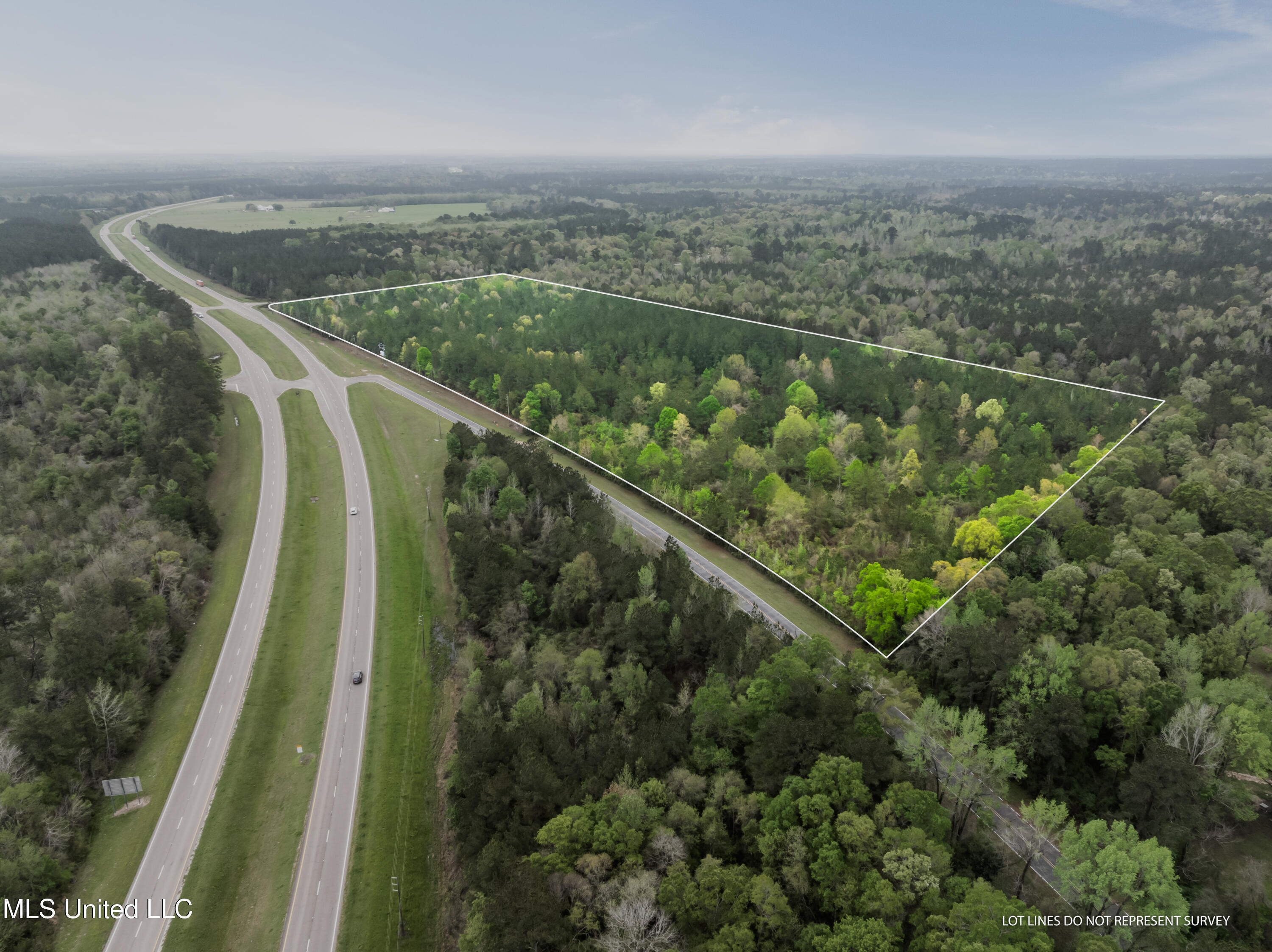29.5 +/-Ac U. S. 98, Beaumont, Mississippi image 5