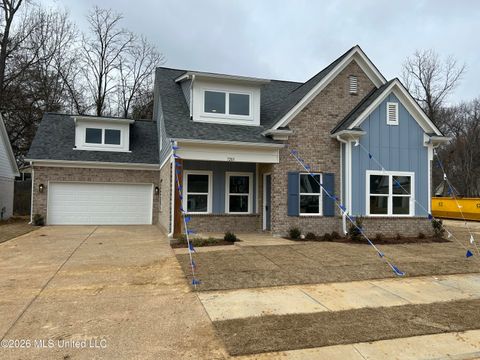 Homes For Sale - 7203 Hickory Hollow Road<br/> Walls, MS 38680