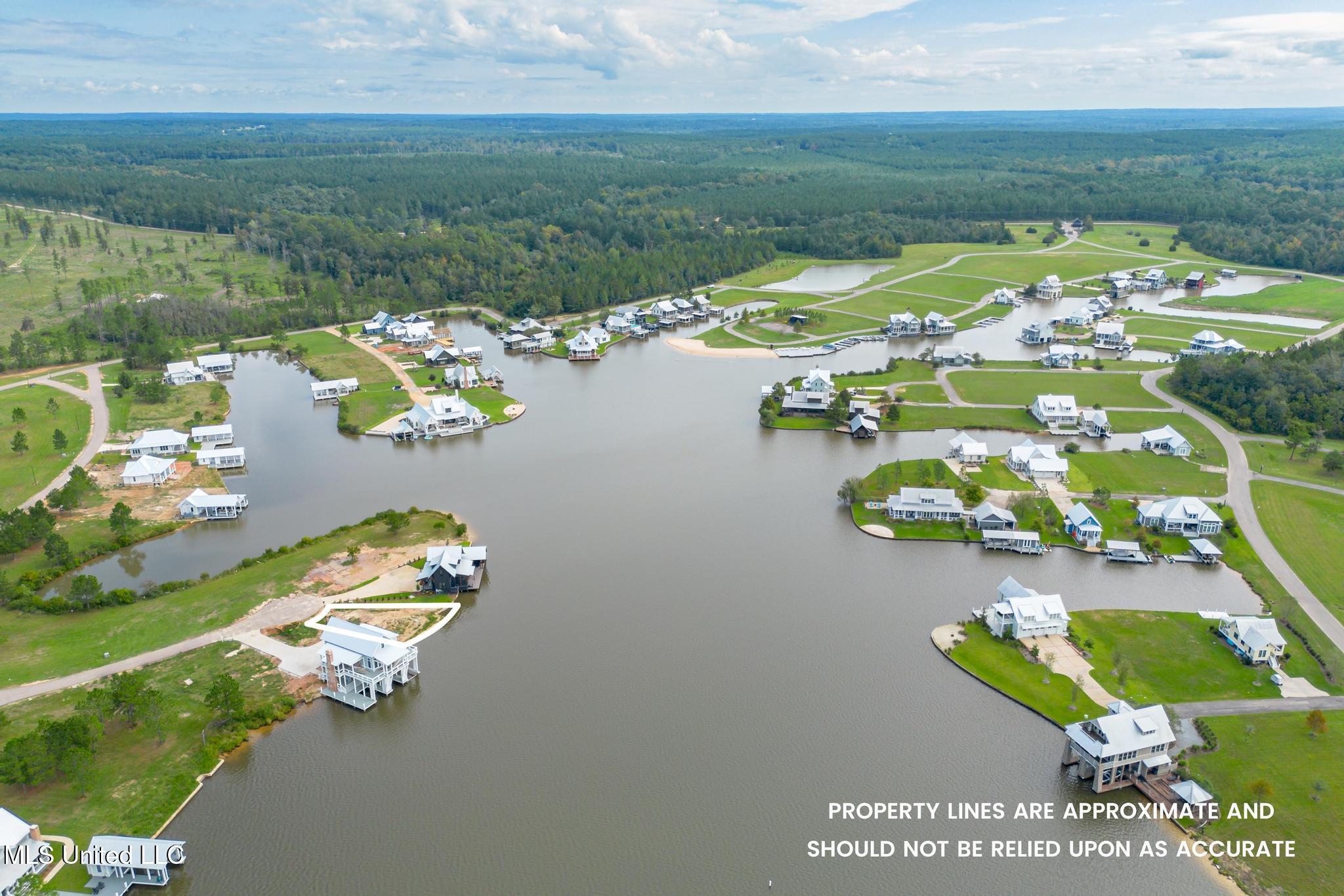 Painted Arrow, Lumberton, Mississippi image 15