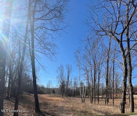 Vacant Land For Sale - Austin Road<br/> Lake Cormorant, MS 38641