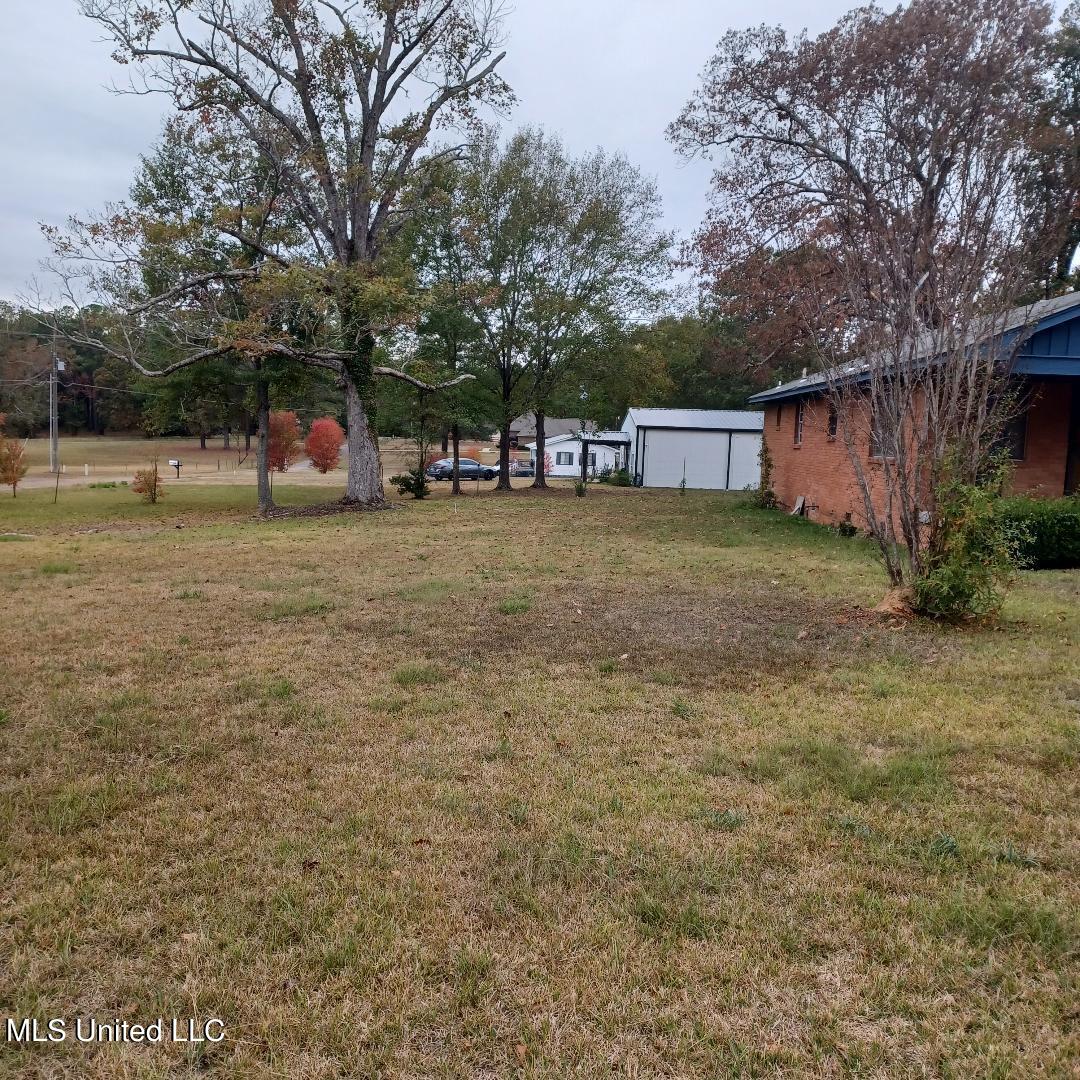 110 Alex Seal Lane, Brandon, Mississippi image 3