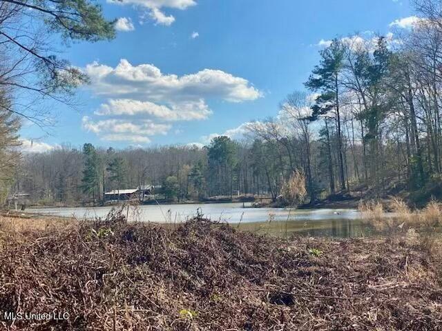 Lot 13 Turkey Creek Road, Natchez, Mississippi image 4