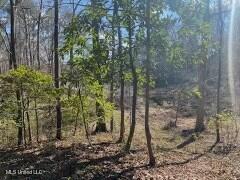 Lot 13 Turkey Creek Road, Natchez, Mississippi image 1