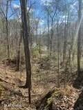 Lot 13 Turkey Creek Road, Natchez, Mississippi image 5