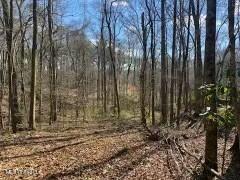 Lot 13 Turkey Creek Road, Natchez, Mississippi image 3
