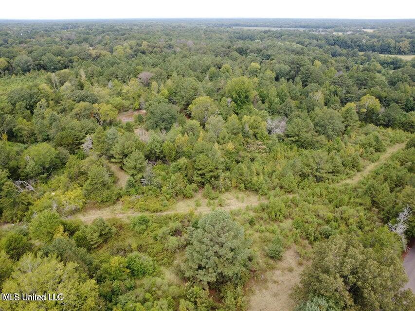4 Robinson The Crossroads Road, Canton, Mississippi image 1