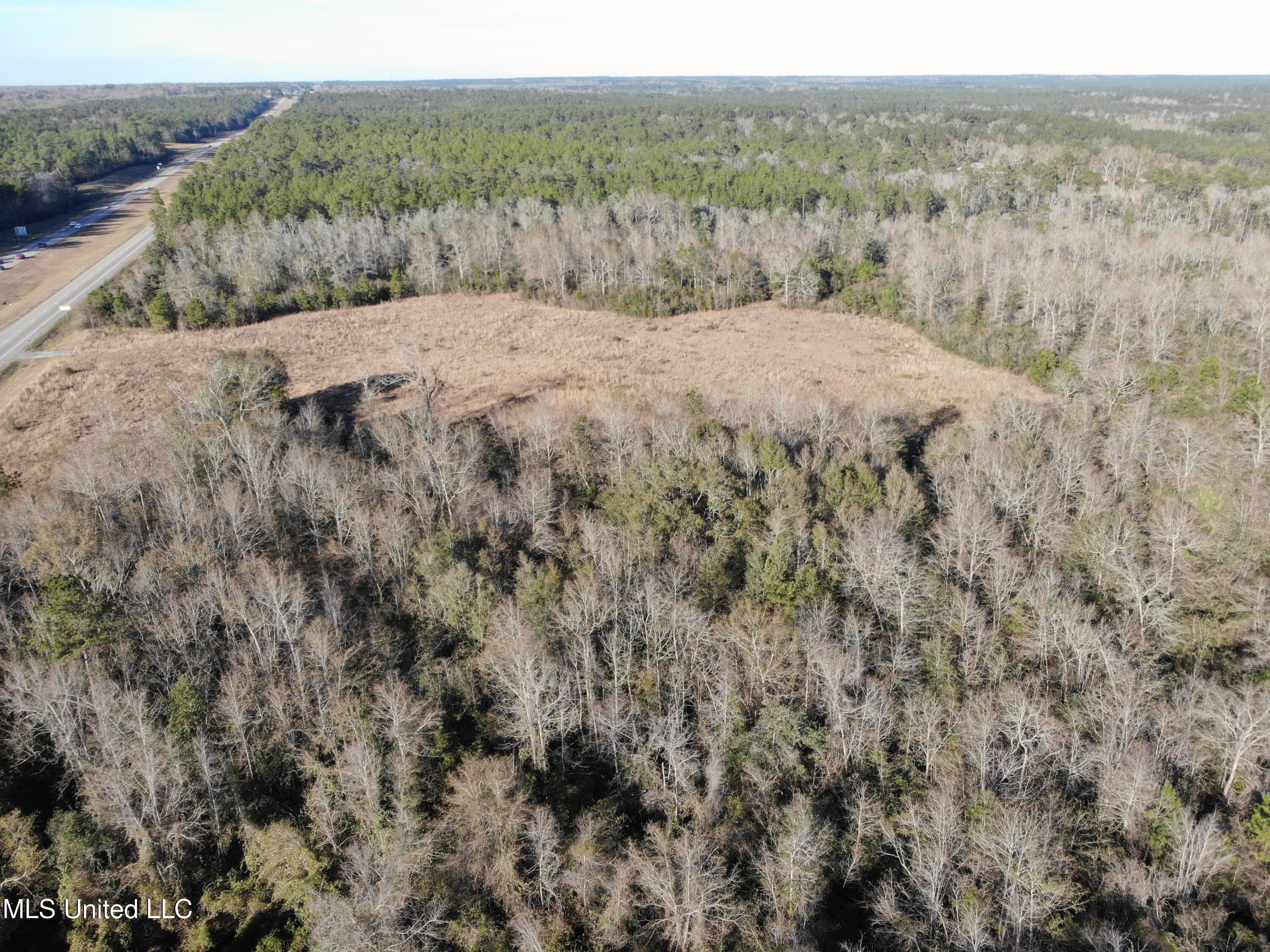 26331 N Highway 49, Saucier, Mississippi image 2