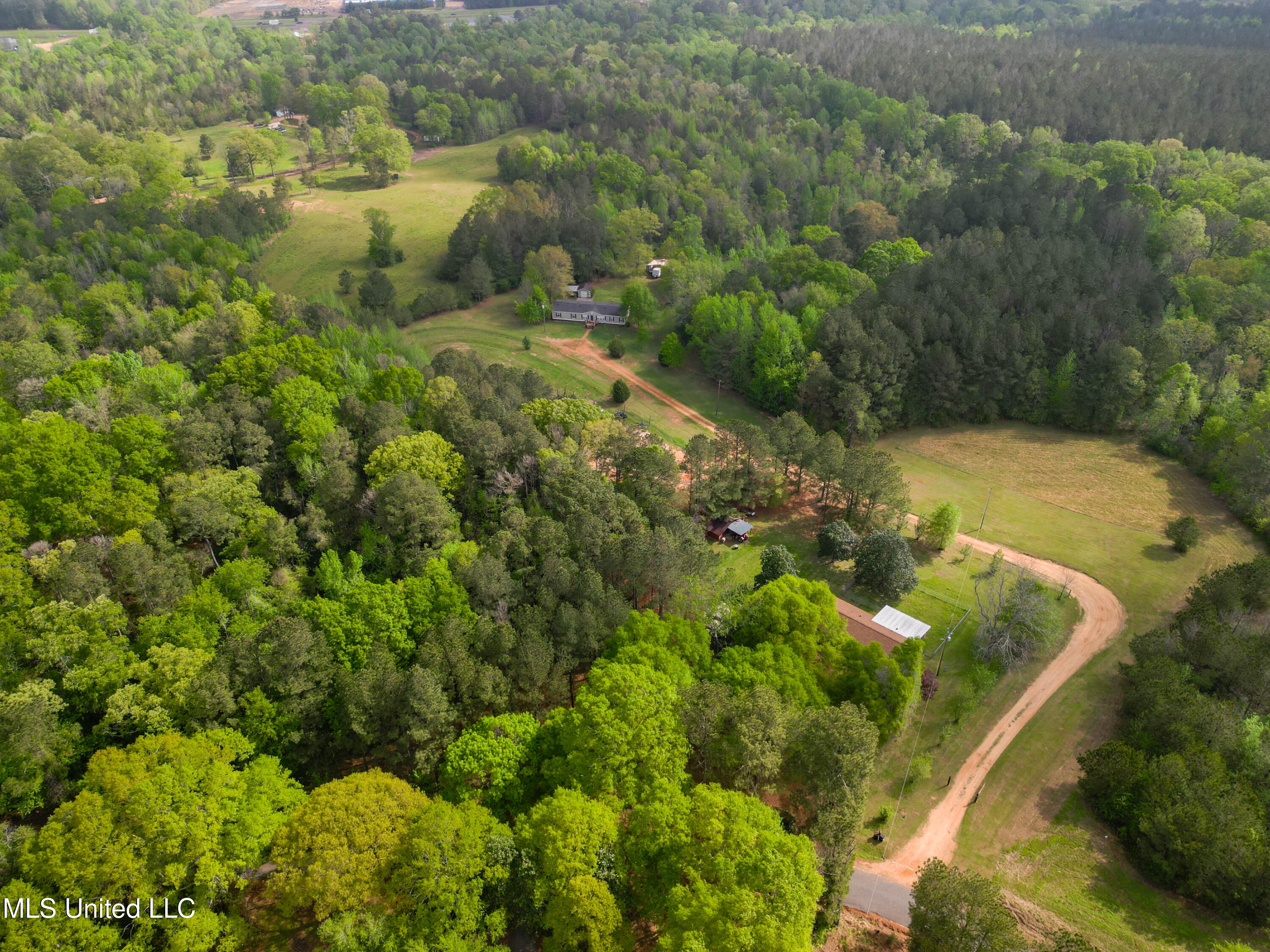 142 Pea Patch Drive, Mendenhall, Mississippi image 10