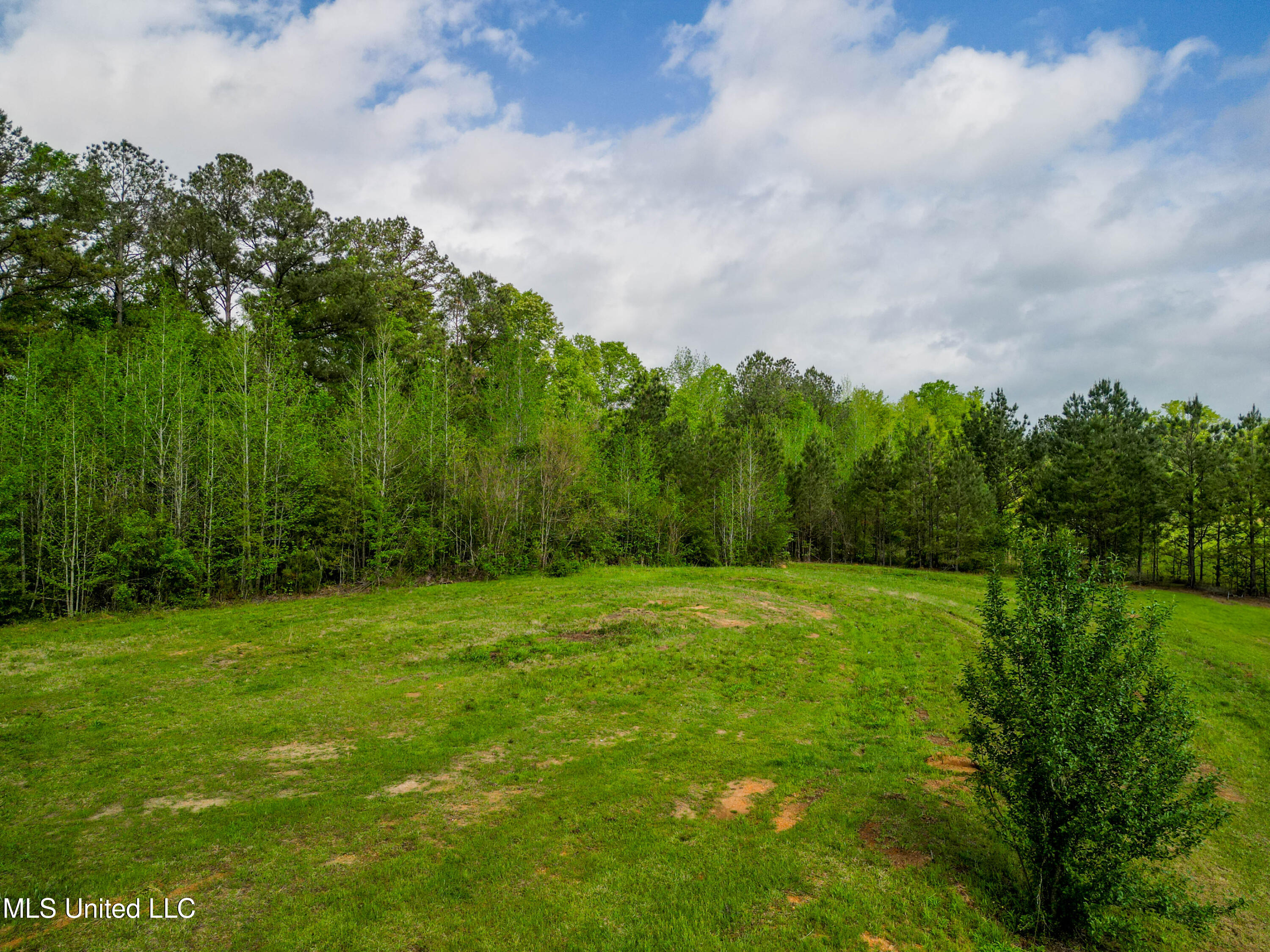 142 Pea Patch Drive, Mendenhall, Mississippi image 18