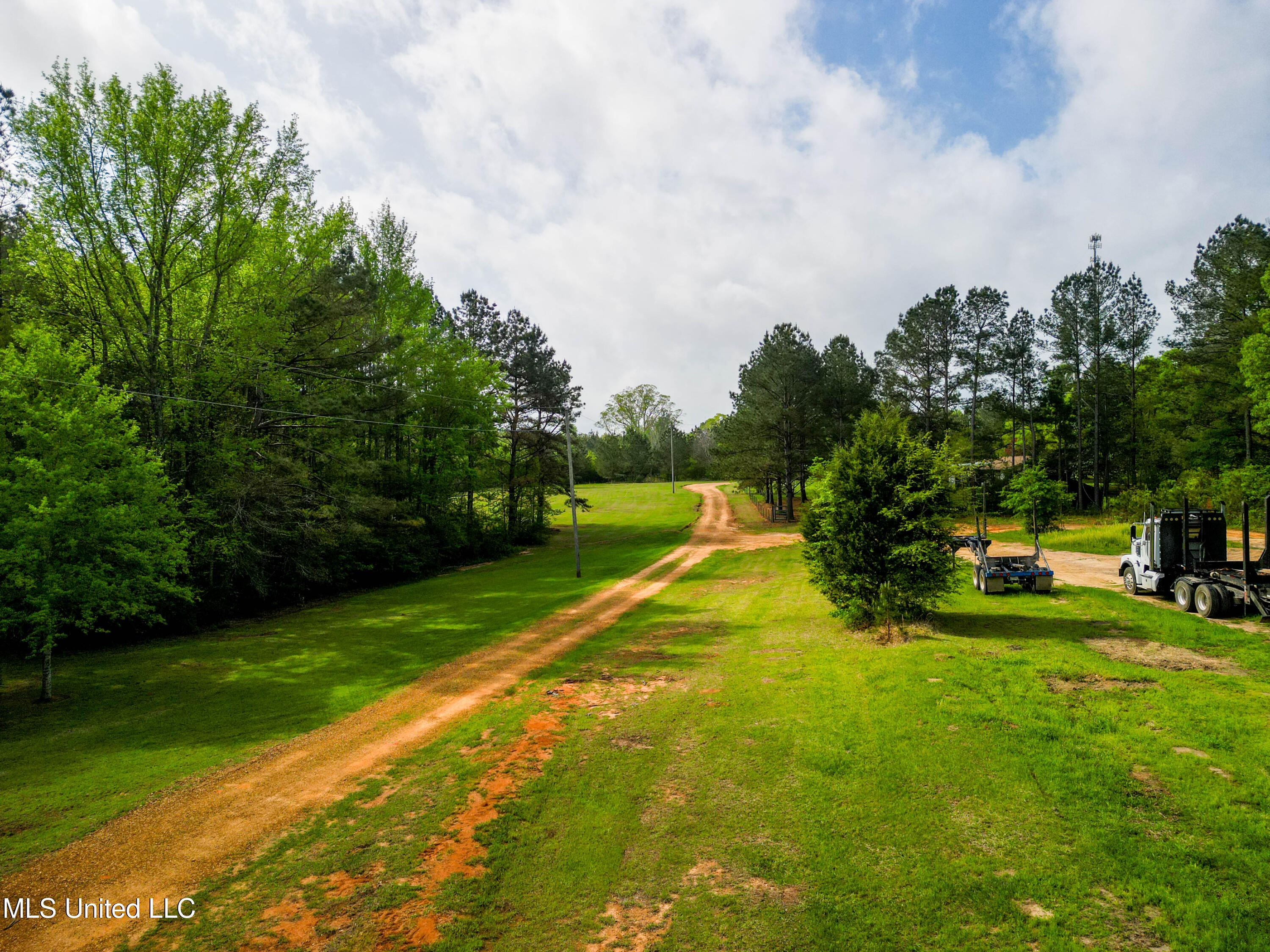 142 Pea Patch Drive, Mendenhall, Mississippi image 19