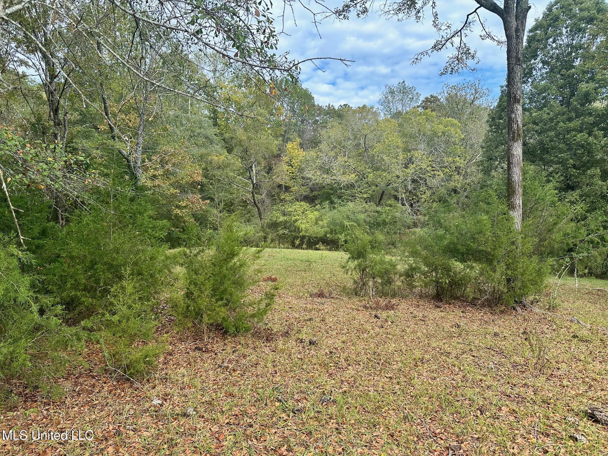 1 Ratliff Ferry Road, Canton, Mississippi image 1