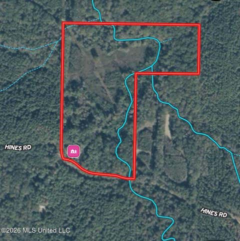 Vacant Land For Sale - 672-A31 Hines Road<br/> Madison County, Camden, MS 39045