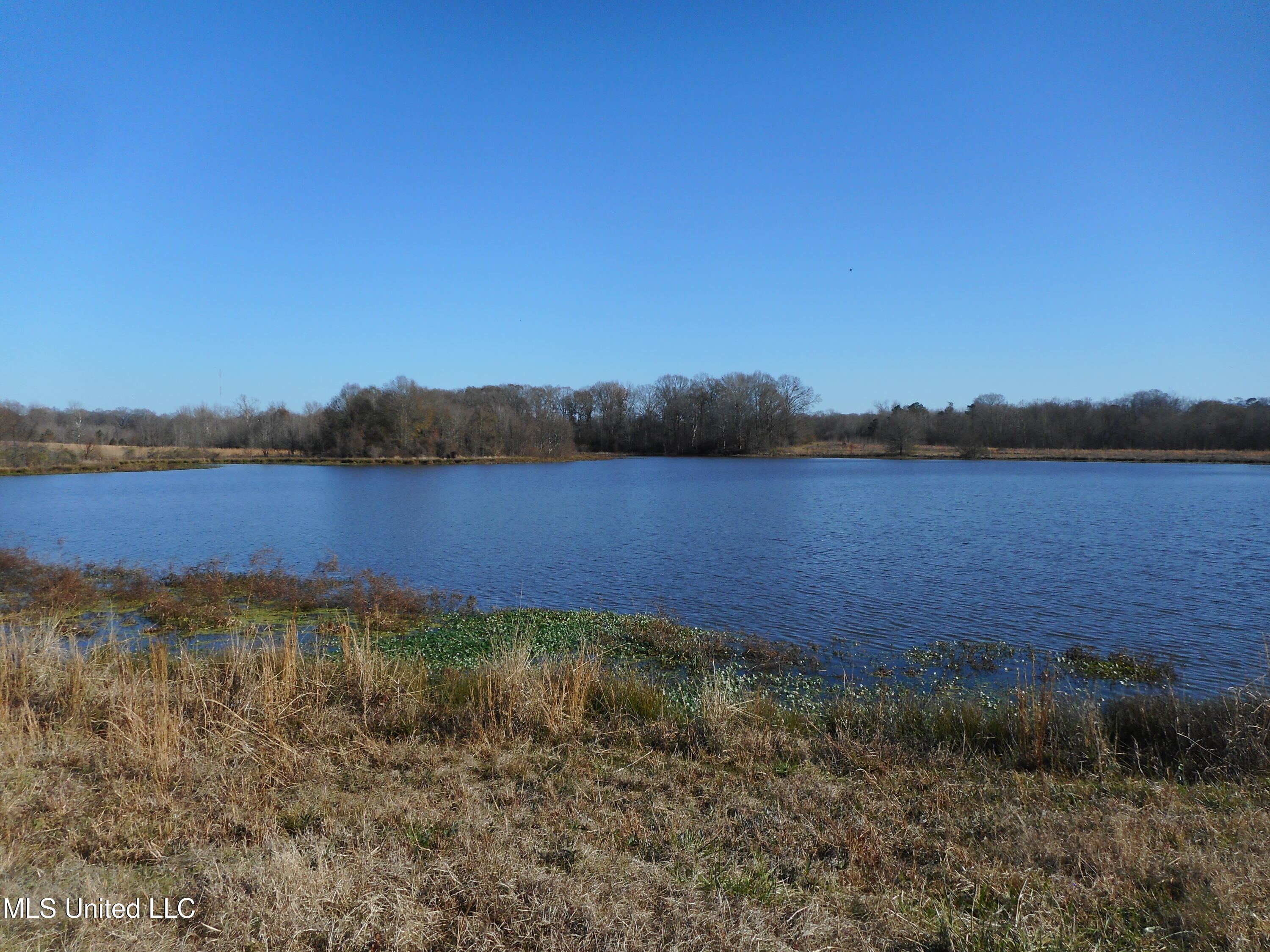 Chichester Road, Edwards, Mississippi image 37