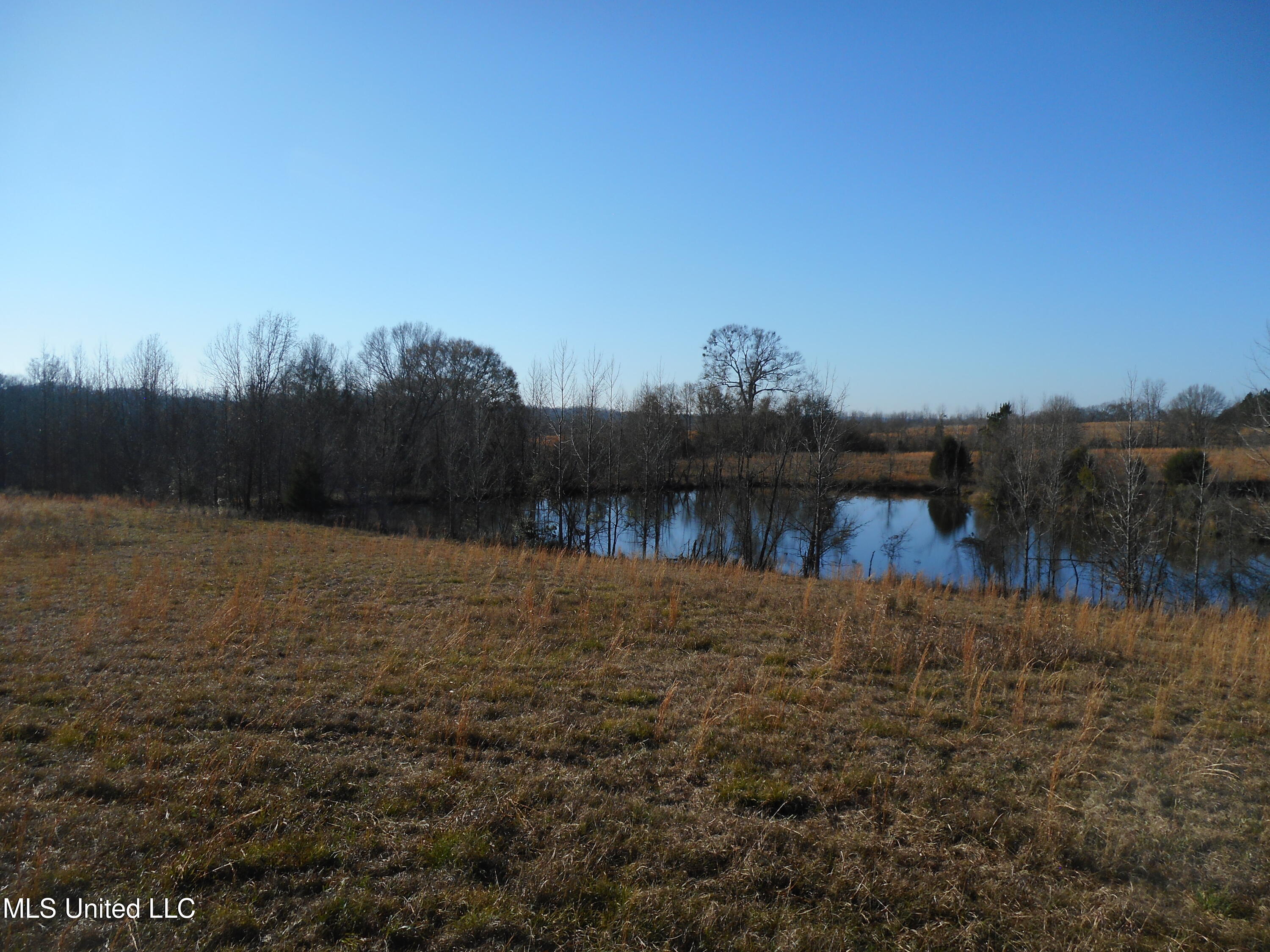 Chichester Road, Edwards, Mississippi image 12