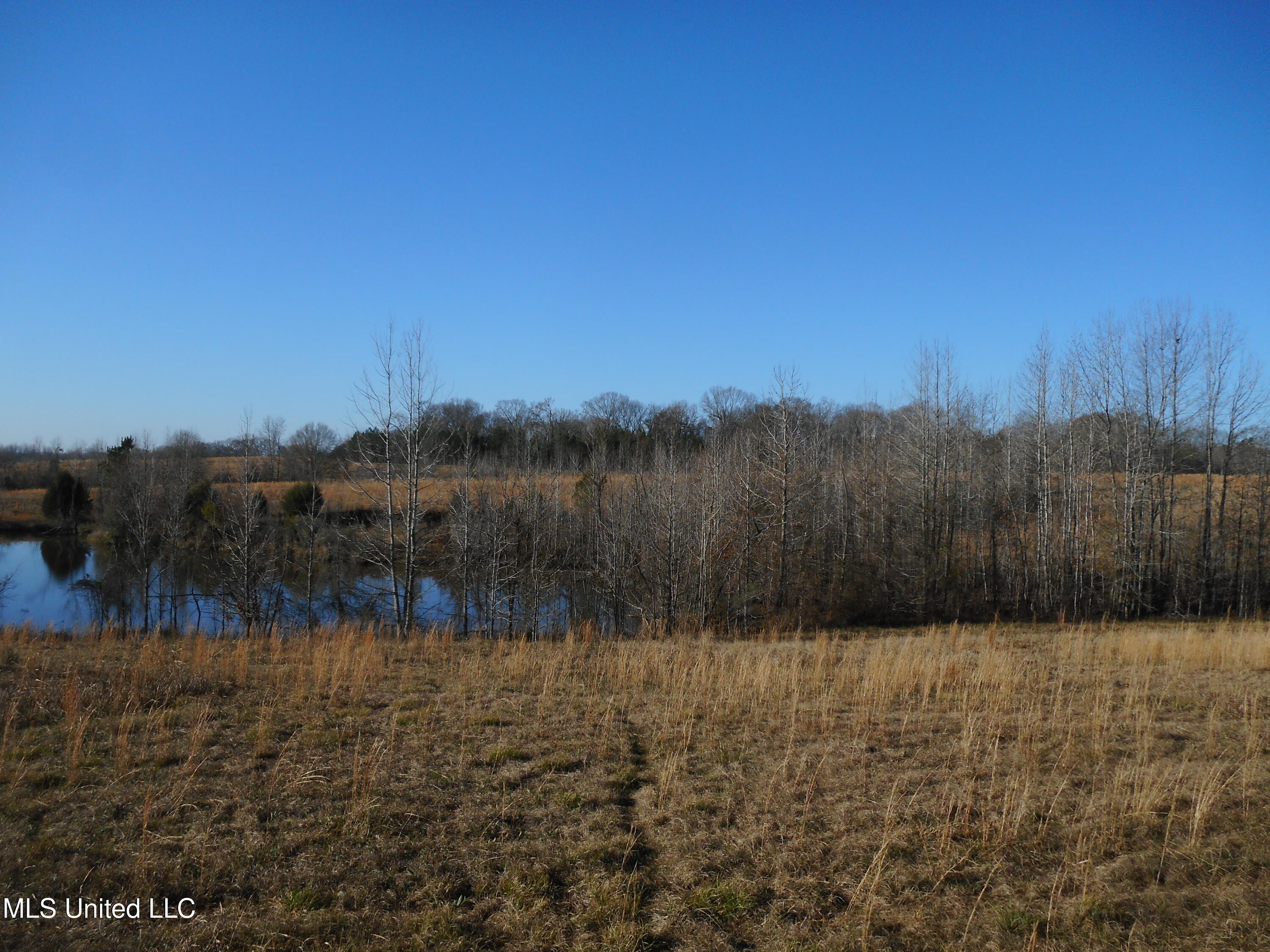 Chichester Road, Edwards, Mississippi image 13