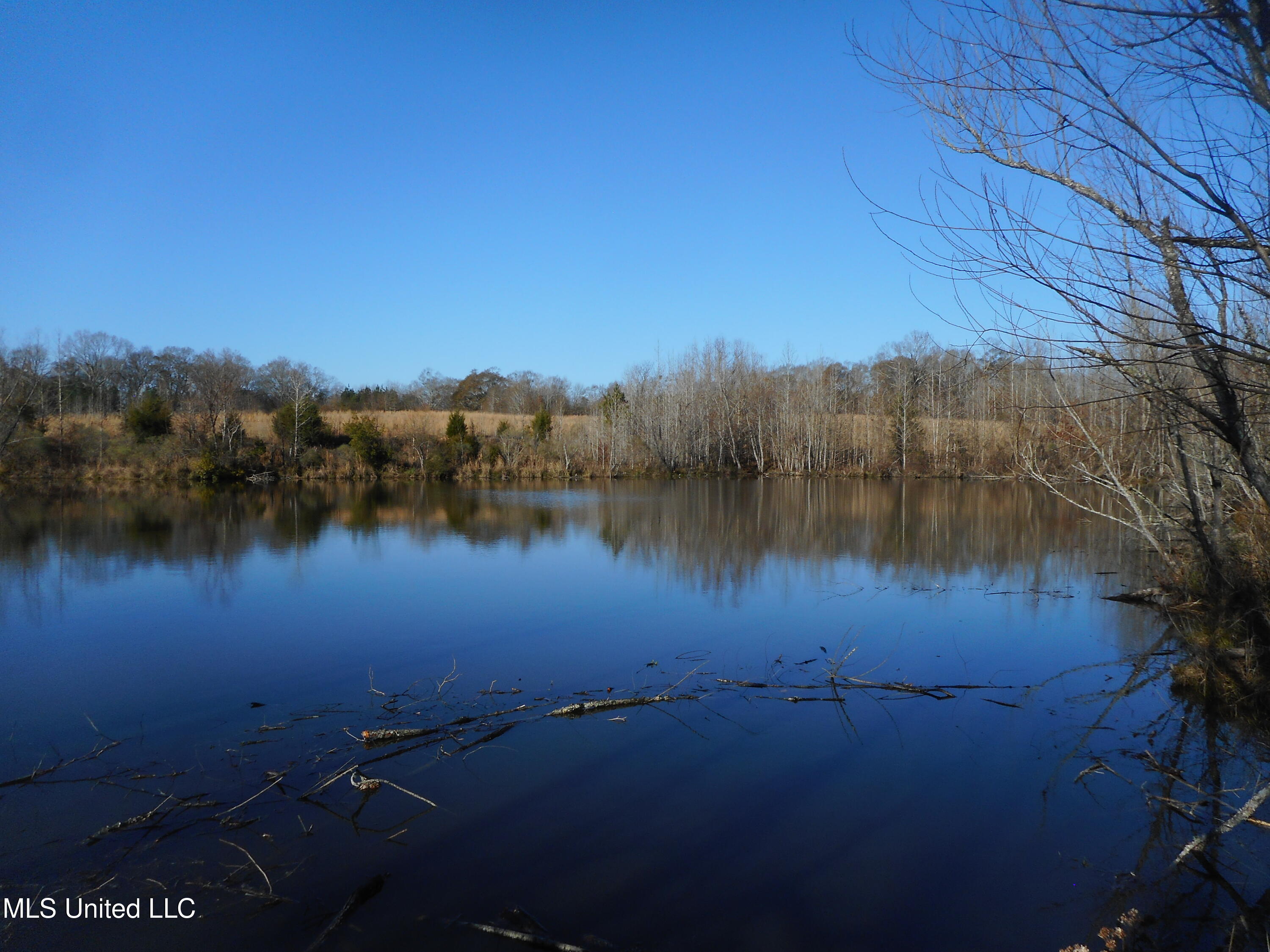 Chichester Road, Edwards, Mississippi image 15