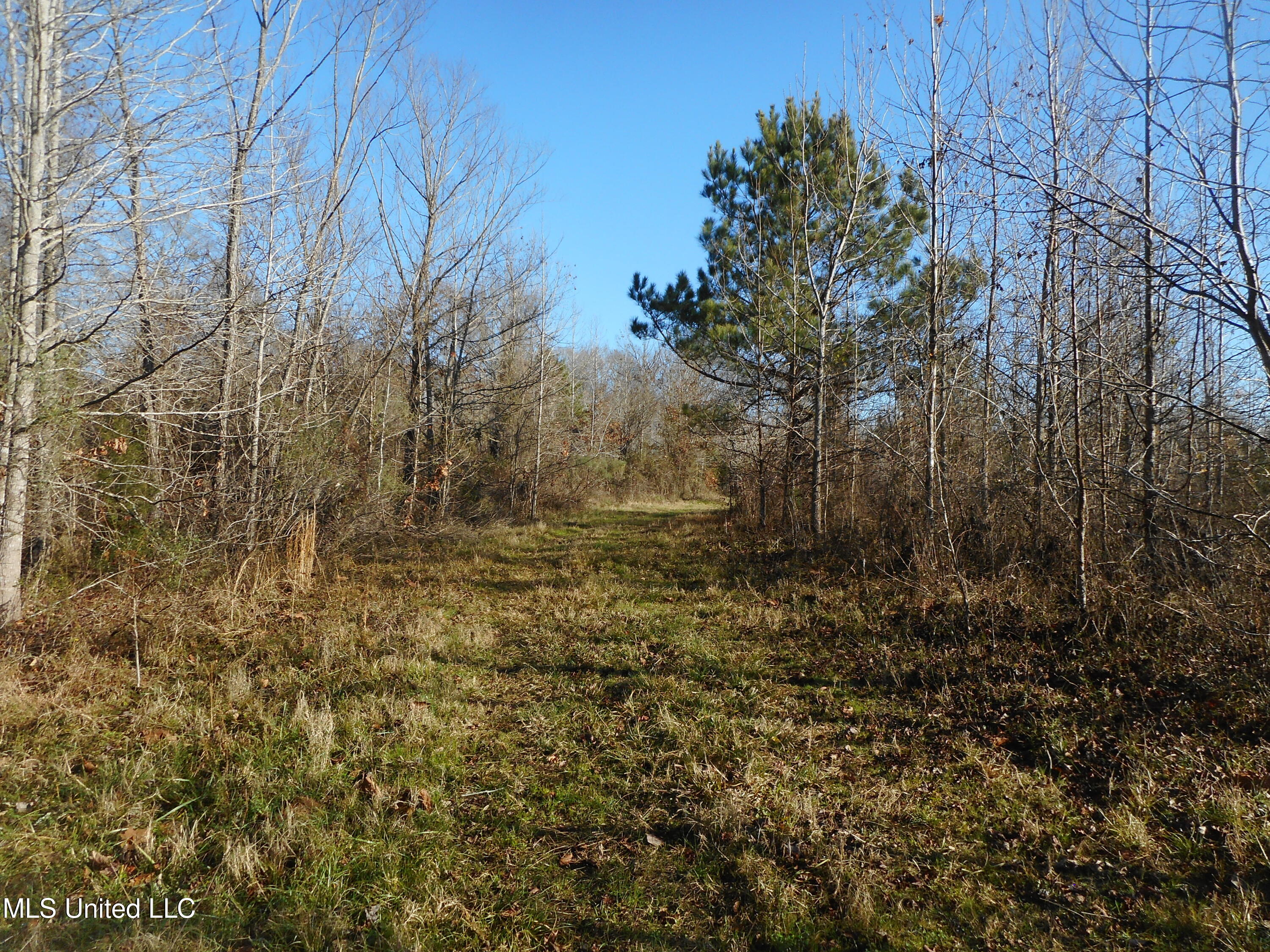 Chichester Road, Edwards, Mississippi image 22